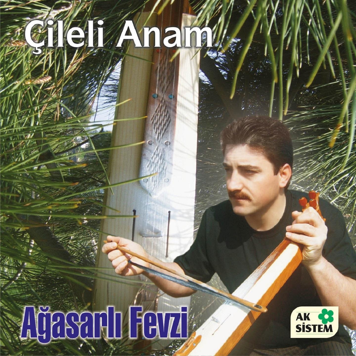 Постер альбома Çileli Anam