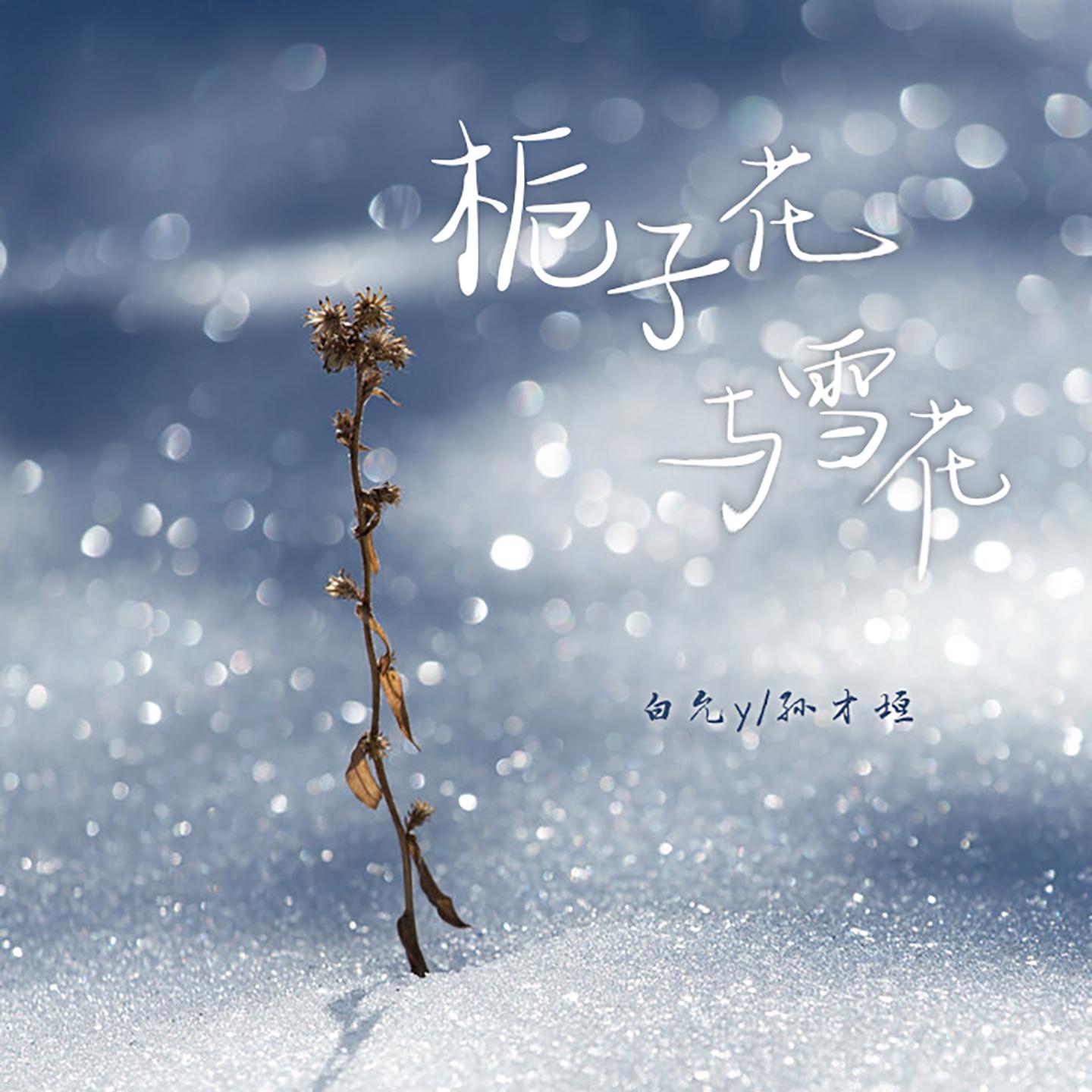 Постер альбома 栀子花与雪花