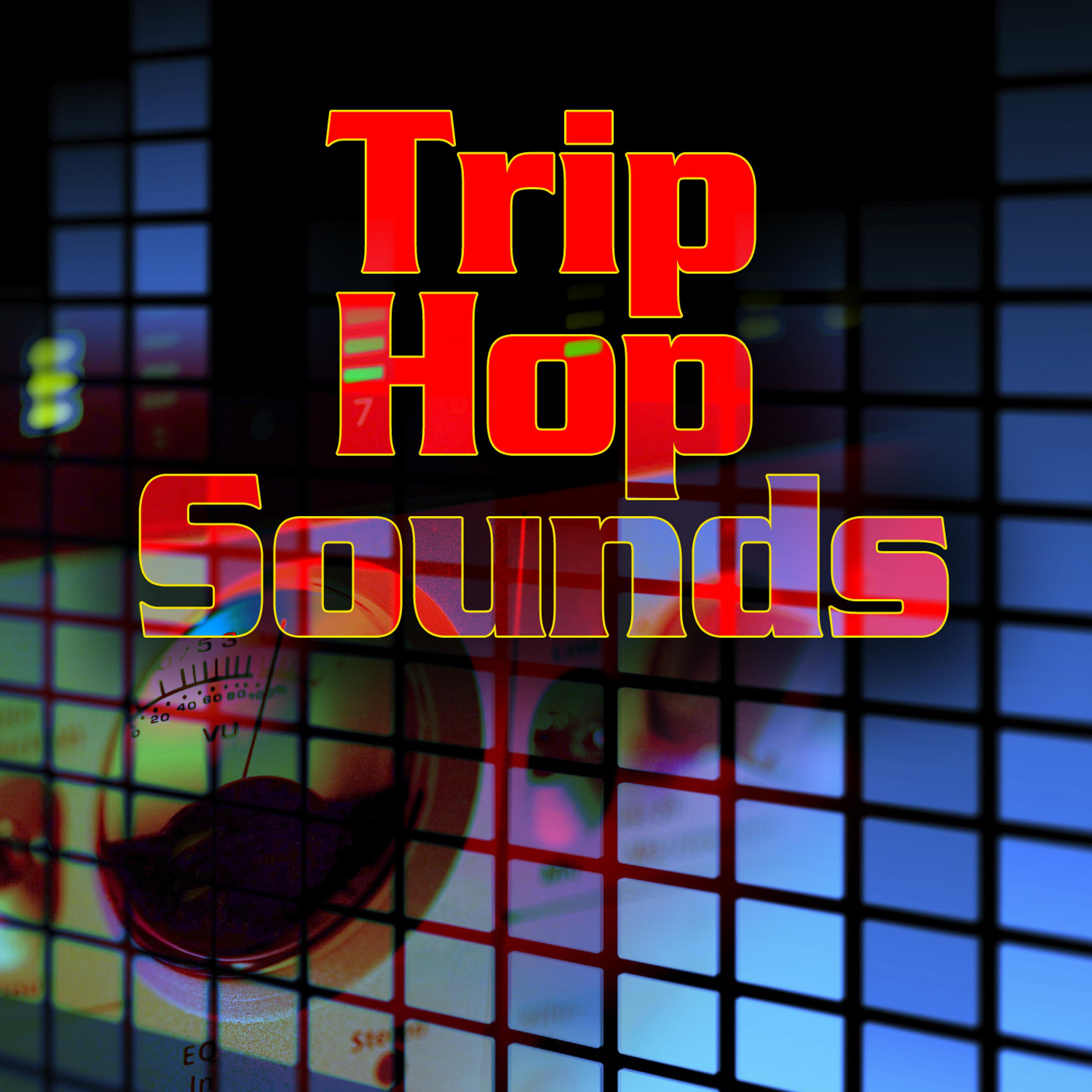 Постер альбома Trip Hop Sounds