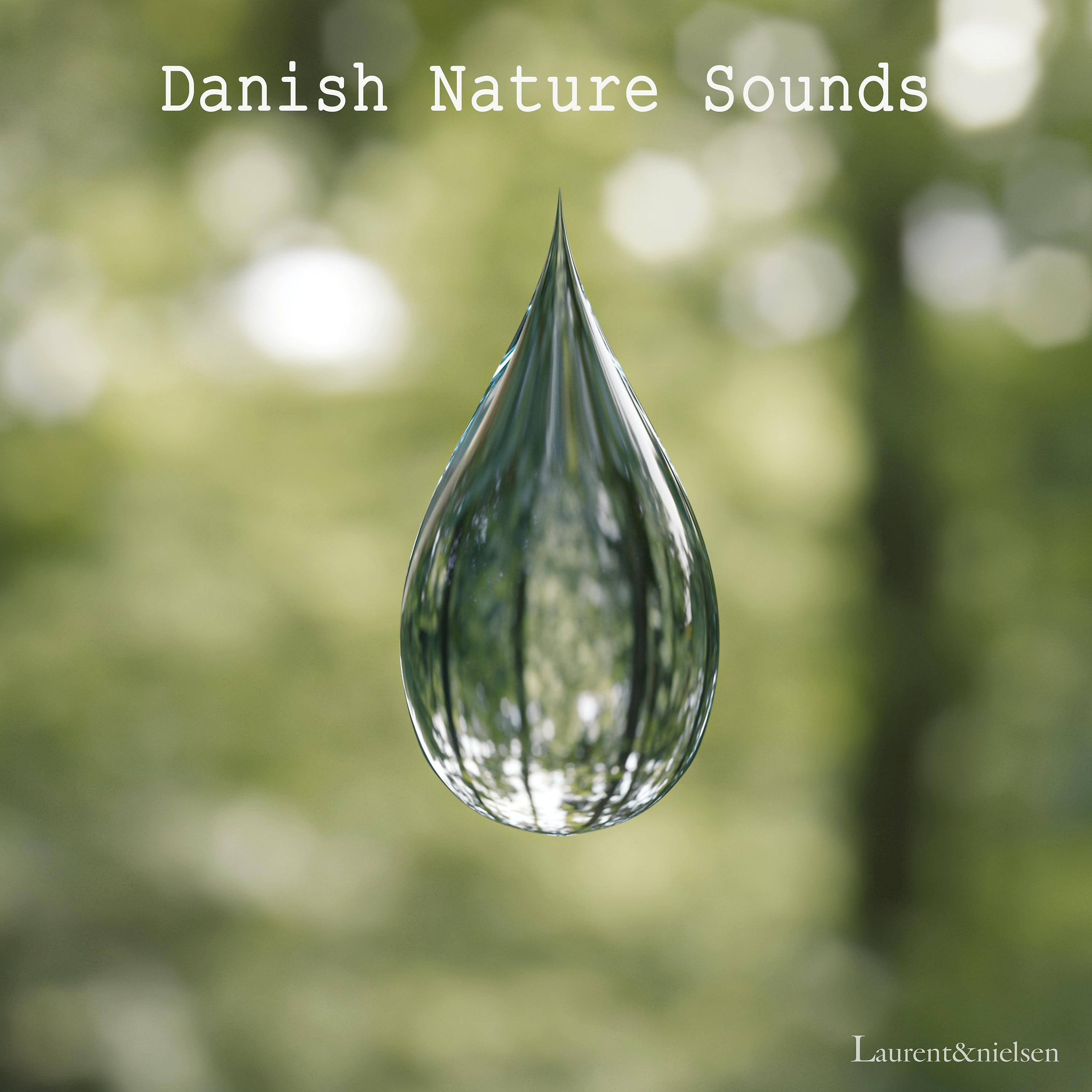 Постер альбома Danish Nature Sounds