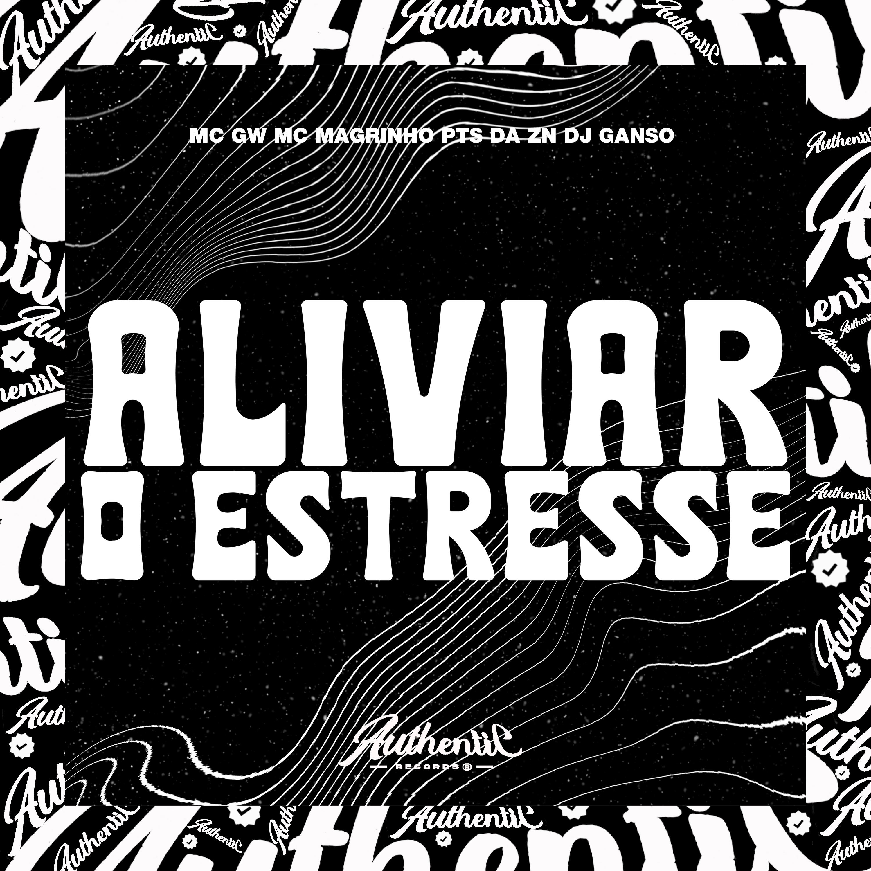 Постер альбома Aliviar o Estresse