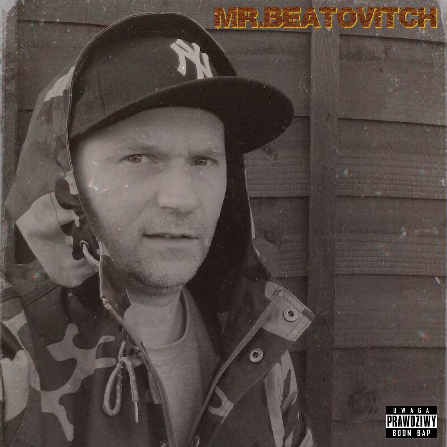 Постер альбома Mr. Beatovitch
