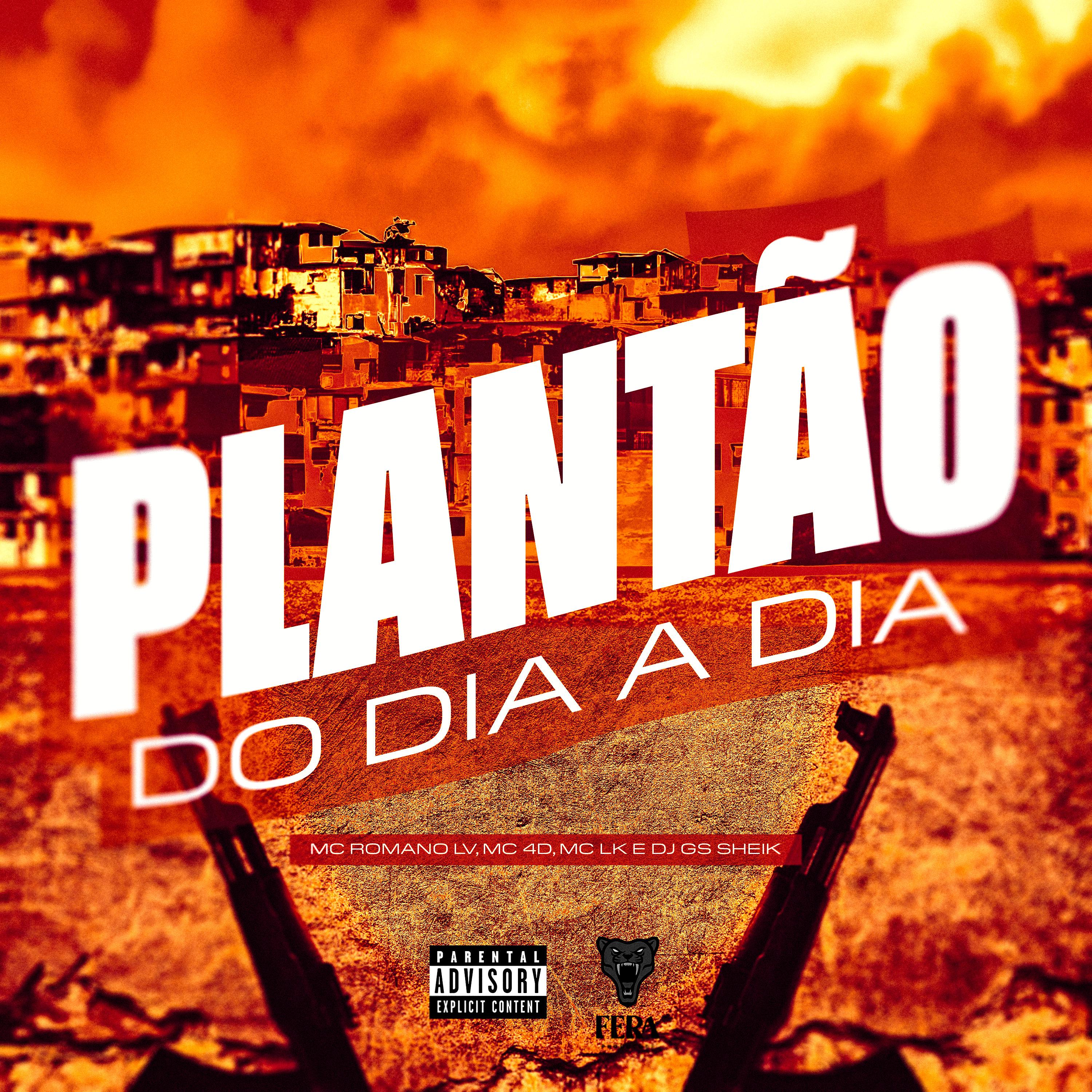 Постер альбома Plantão do Dia a Dia