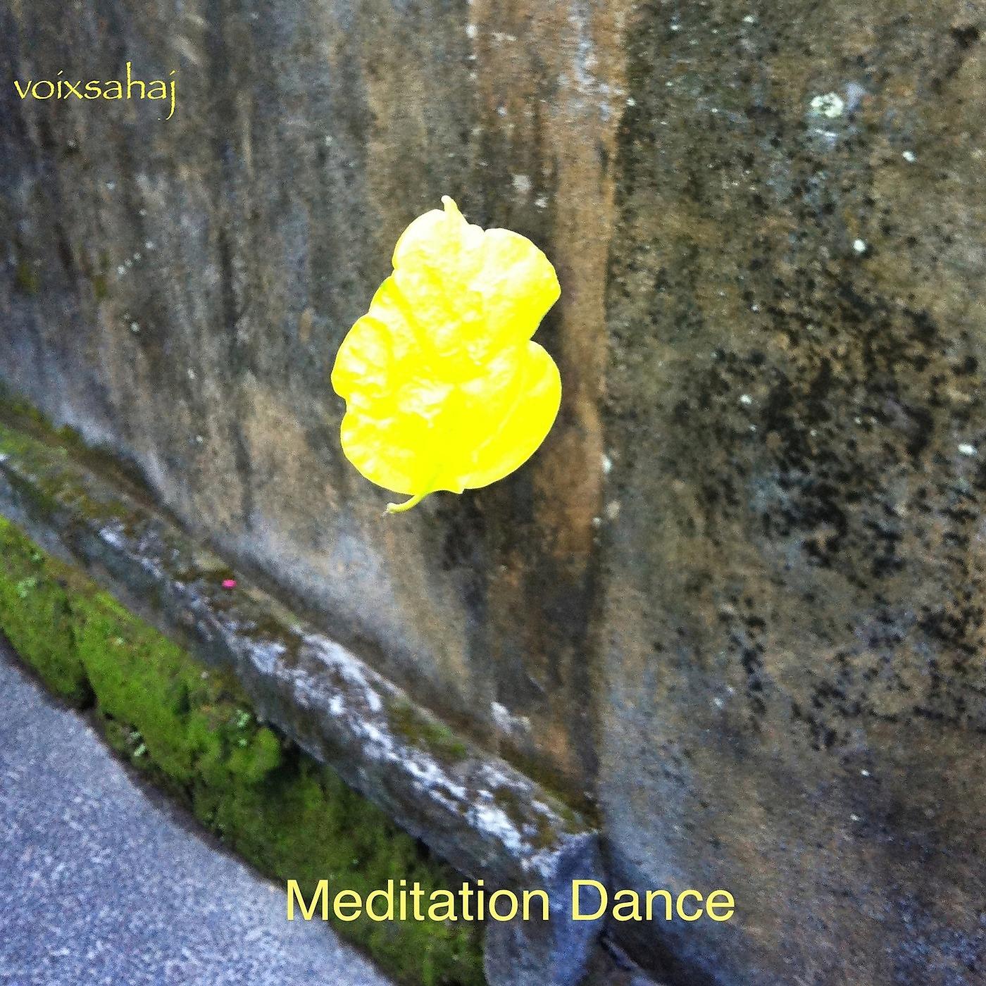 Постер альбома Meditation Dance