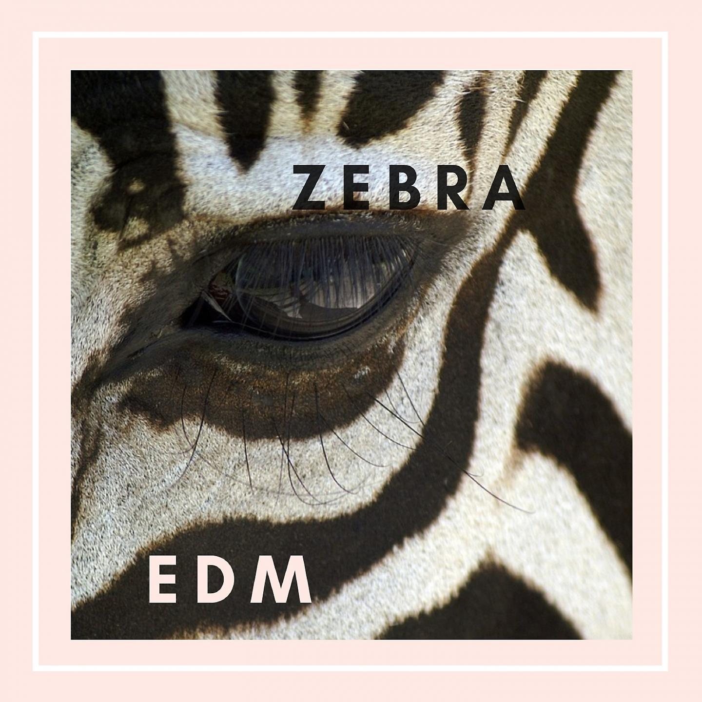 Постер альбома ZEBRA EDM