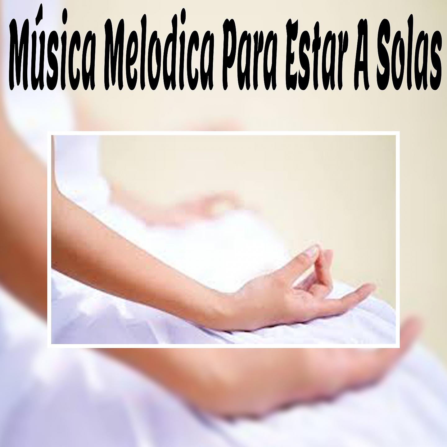 Постер альбома Música Melodica para Estar a Solas