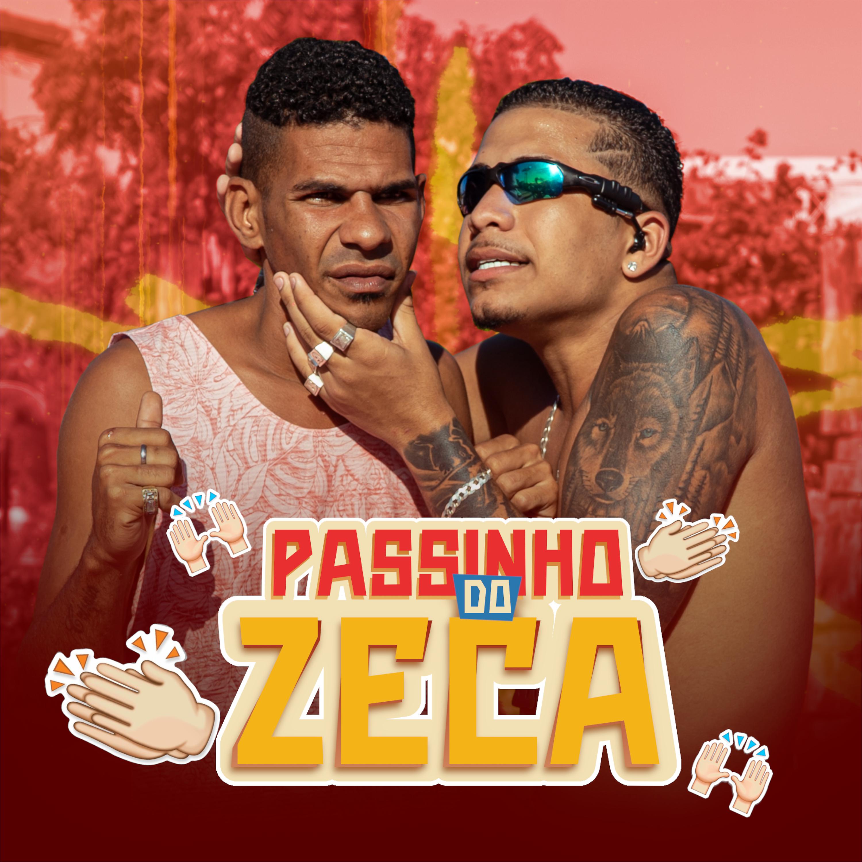 Постер альбома Passinho do Zeca
