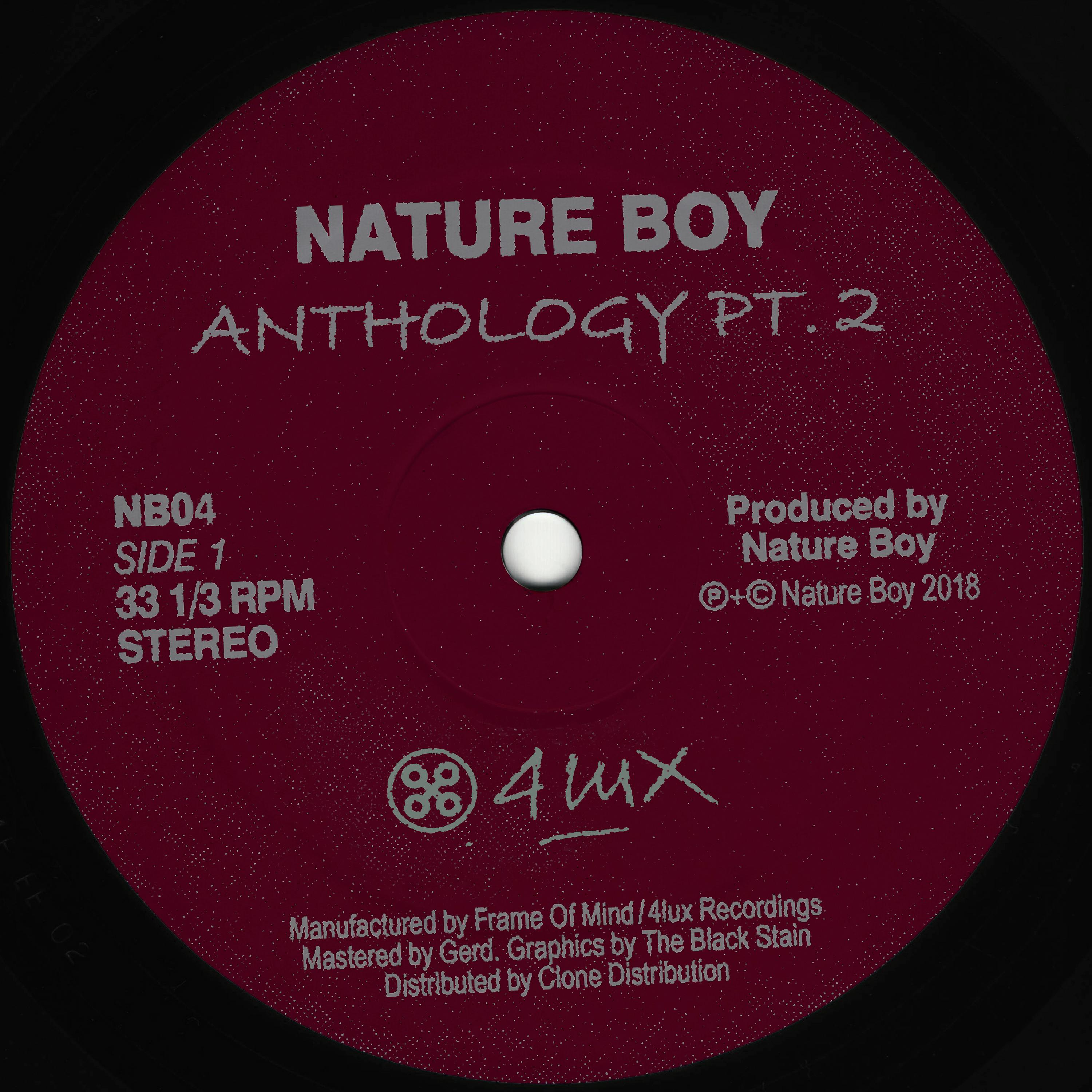 Постер альбома Nature Boy Anthology Part 2