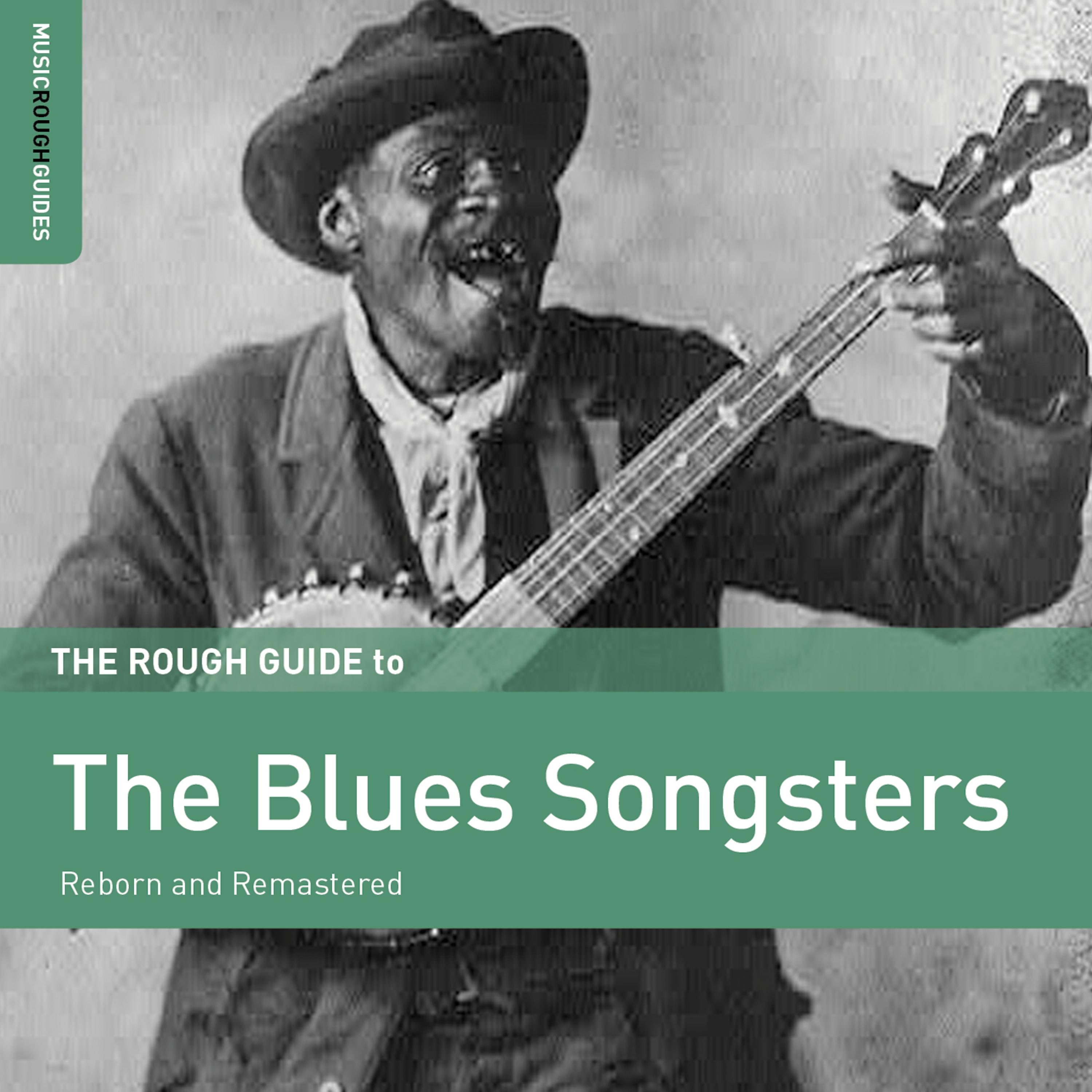 Постер альбома Rough Guide to the Blues Songsters