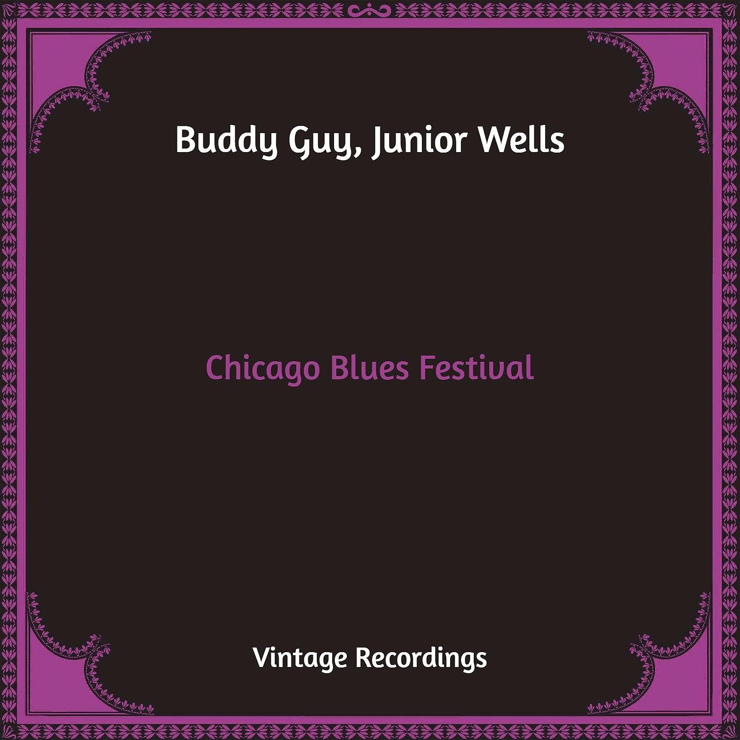 Постер альбома Chicago Blues Festival