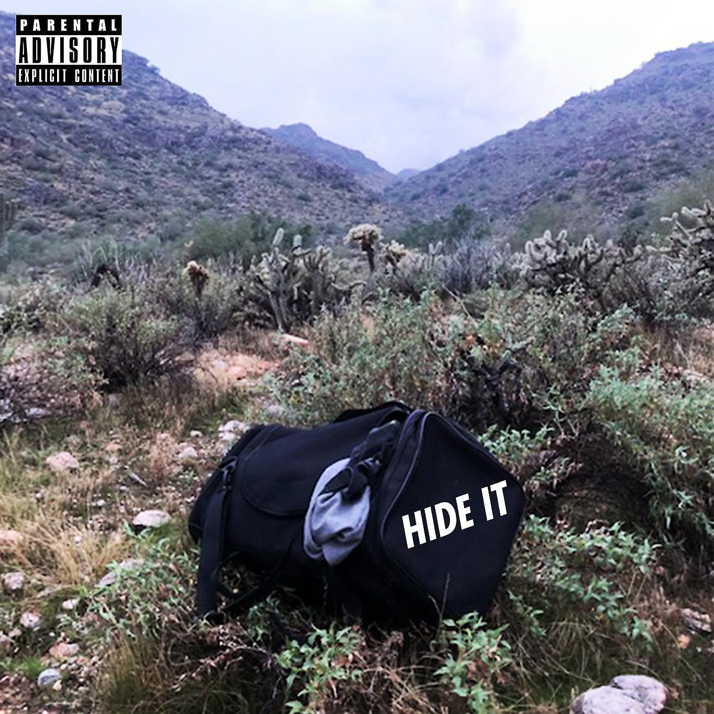 Постер альбома Hide It