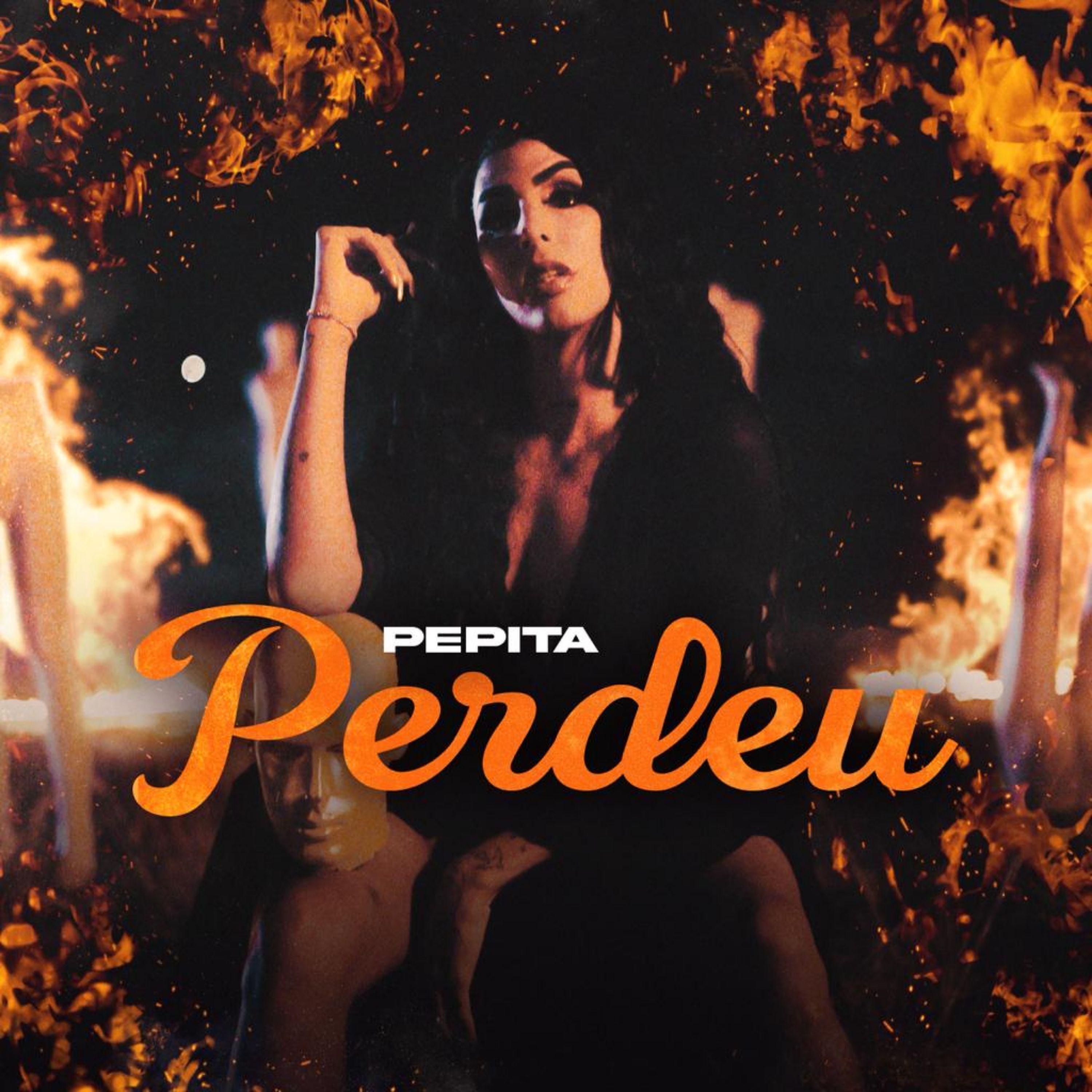 Постер альбома Perdeu
