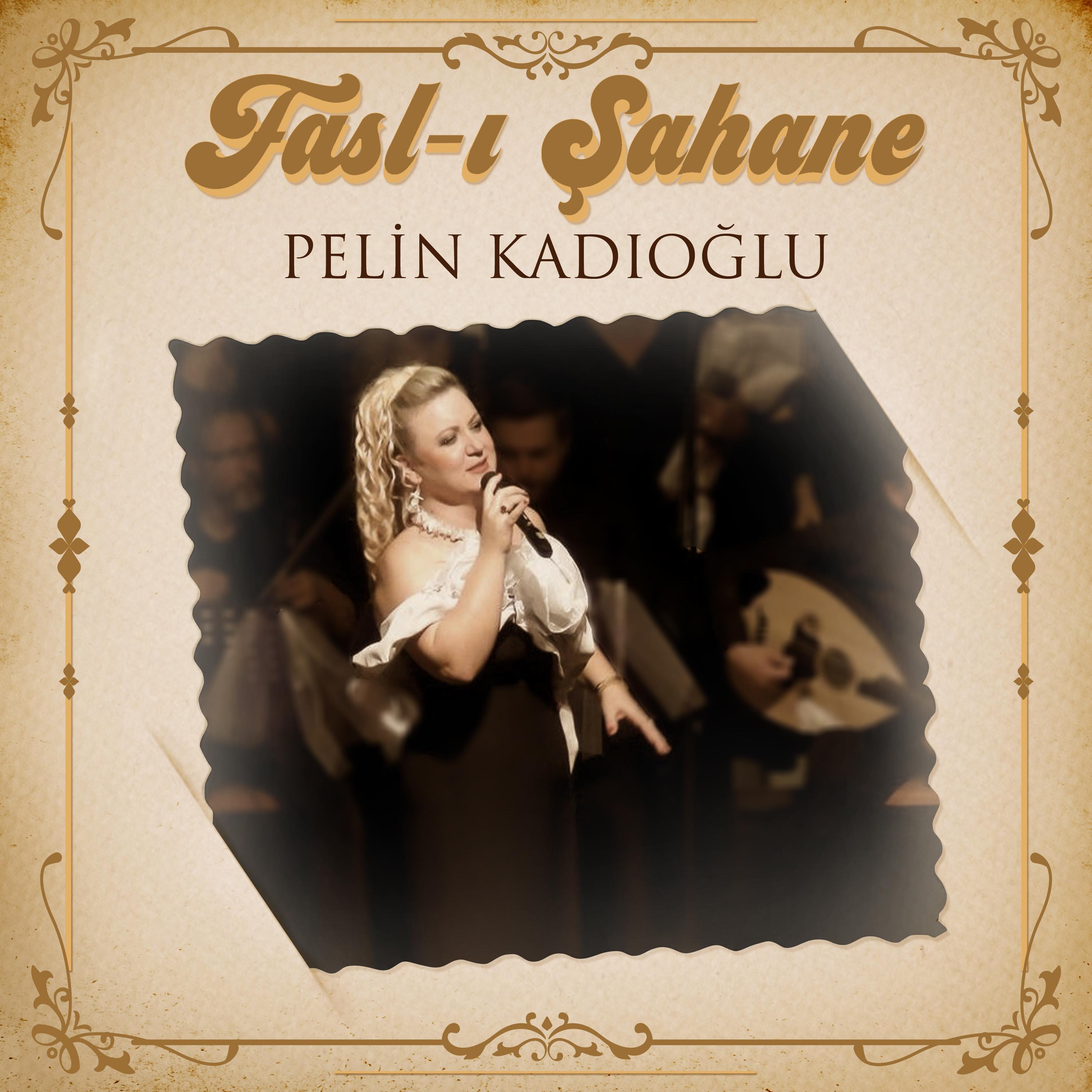 Постер альбома Fasl-ı Şahane