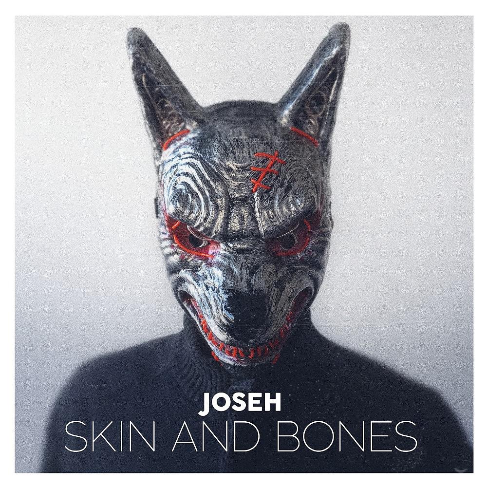 Постер альбома Skin and Bones