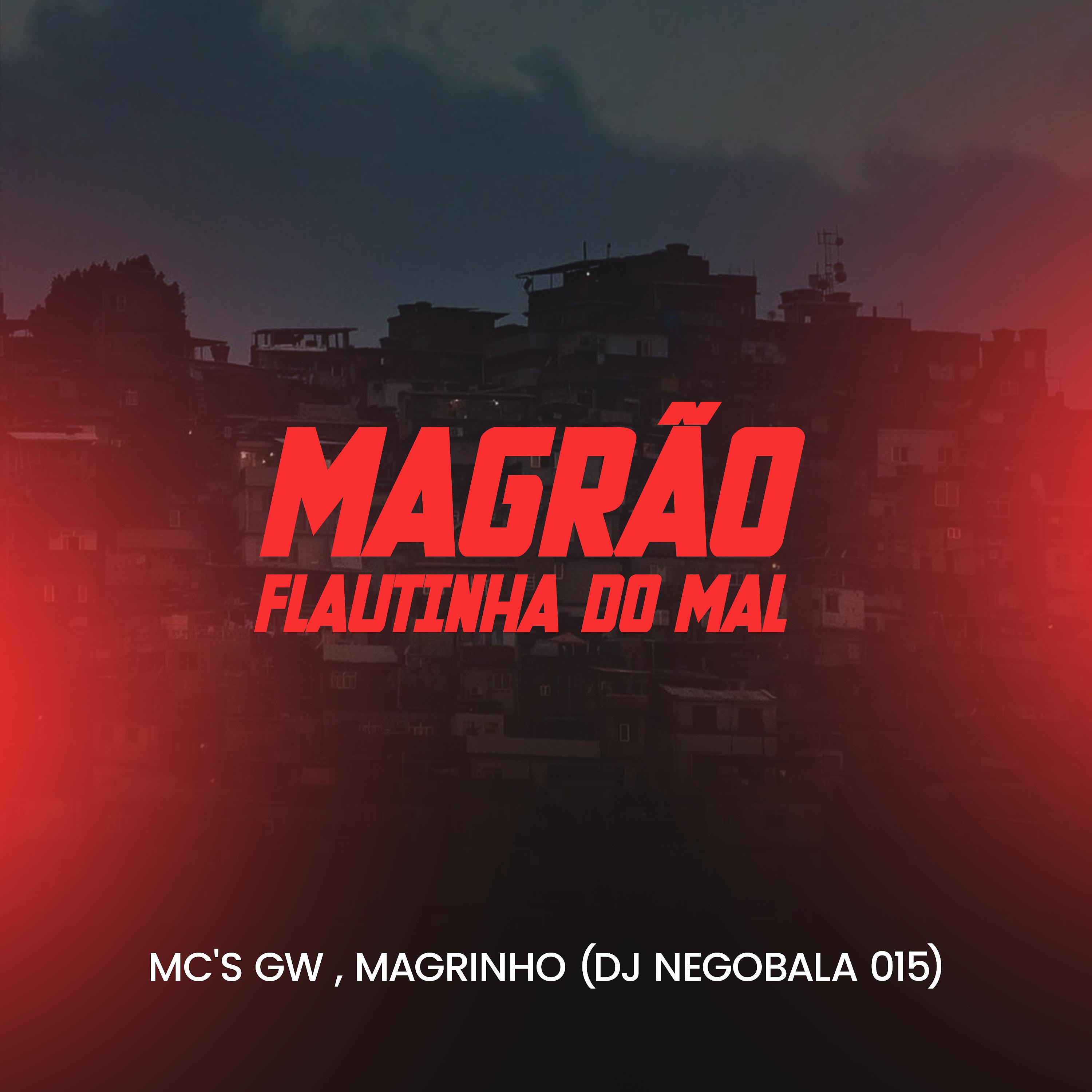Постер альбома Magrão Flautinha do Mal