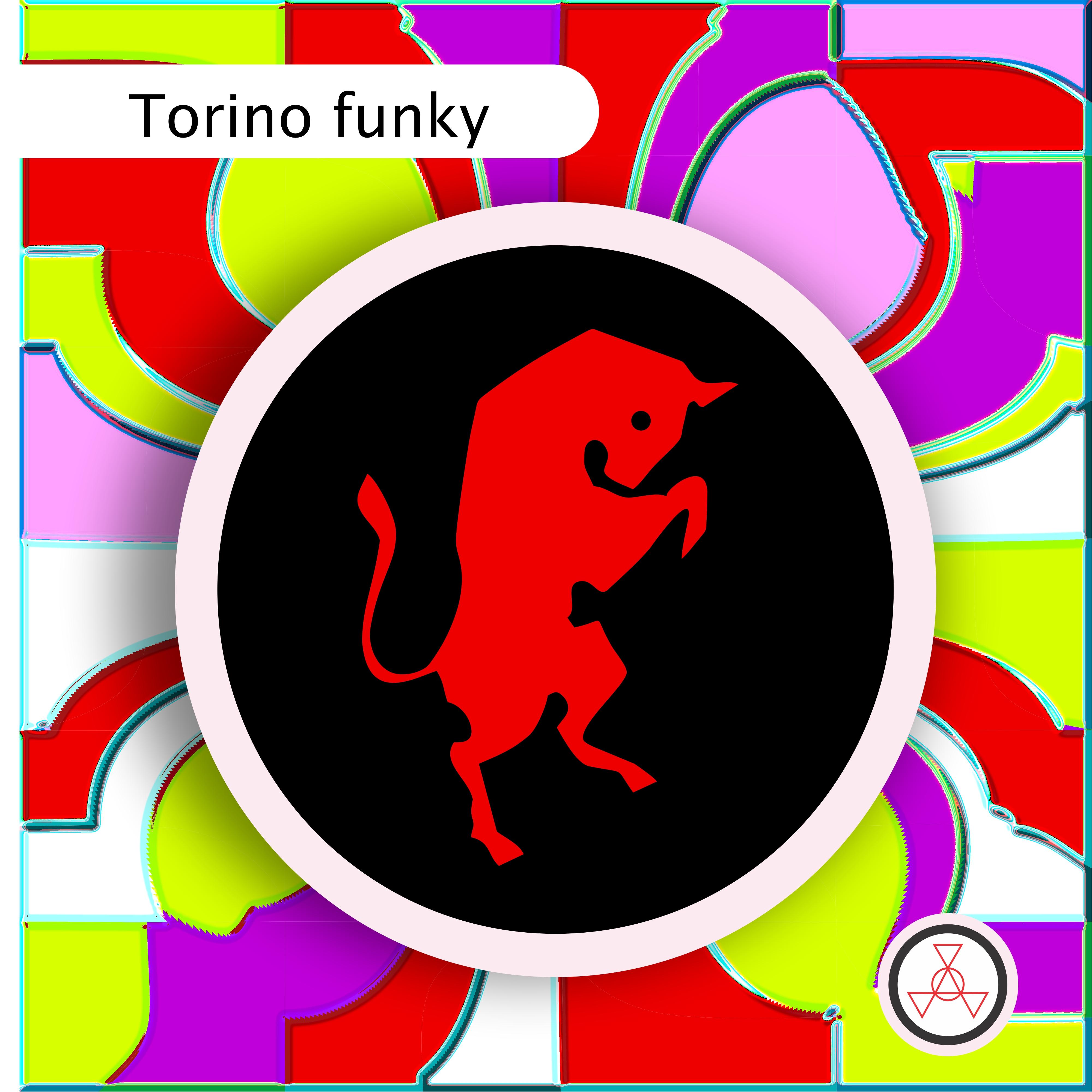 Постер альбома Torino Funky