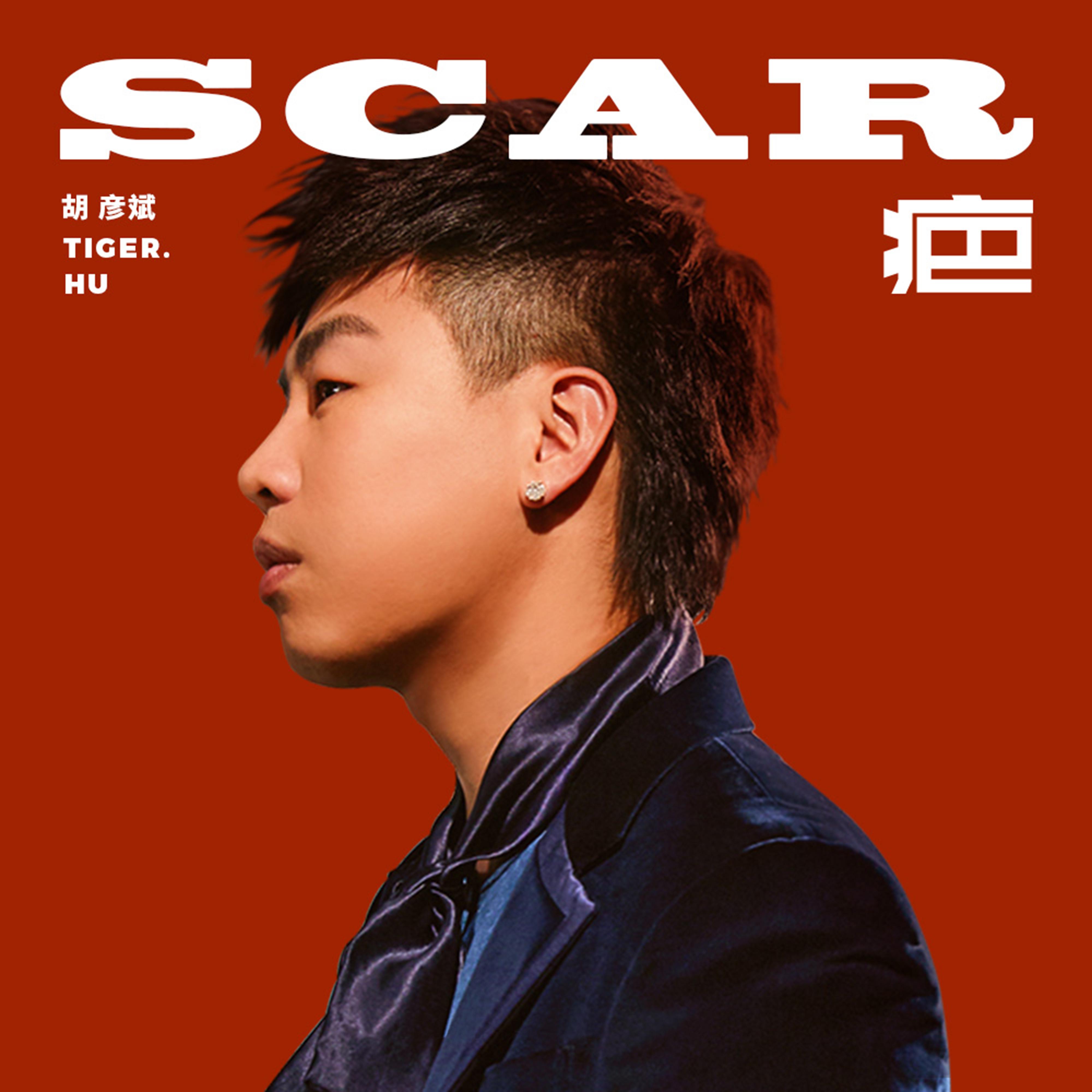 Постер альбома SCAR