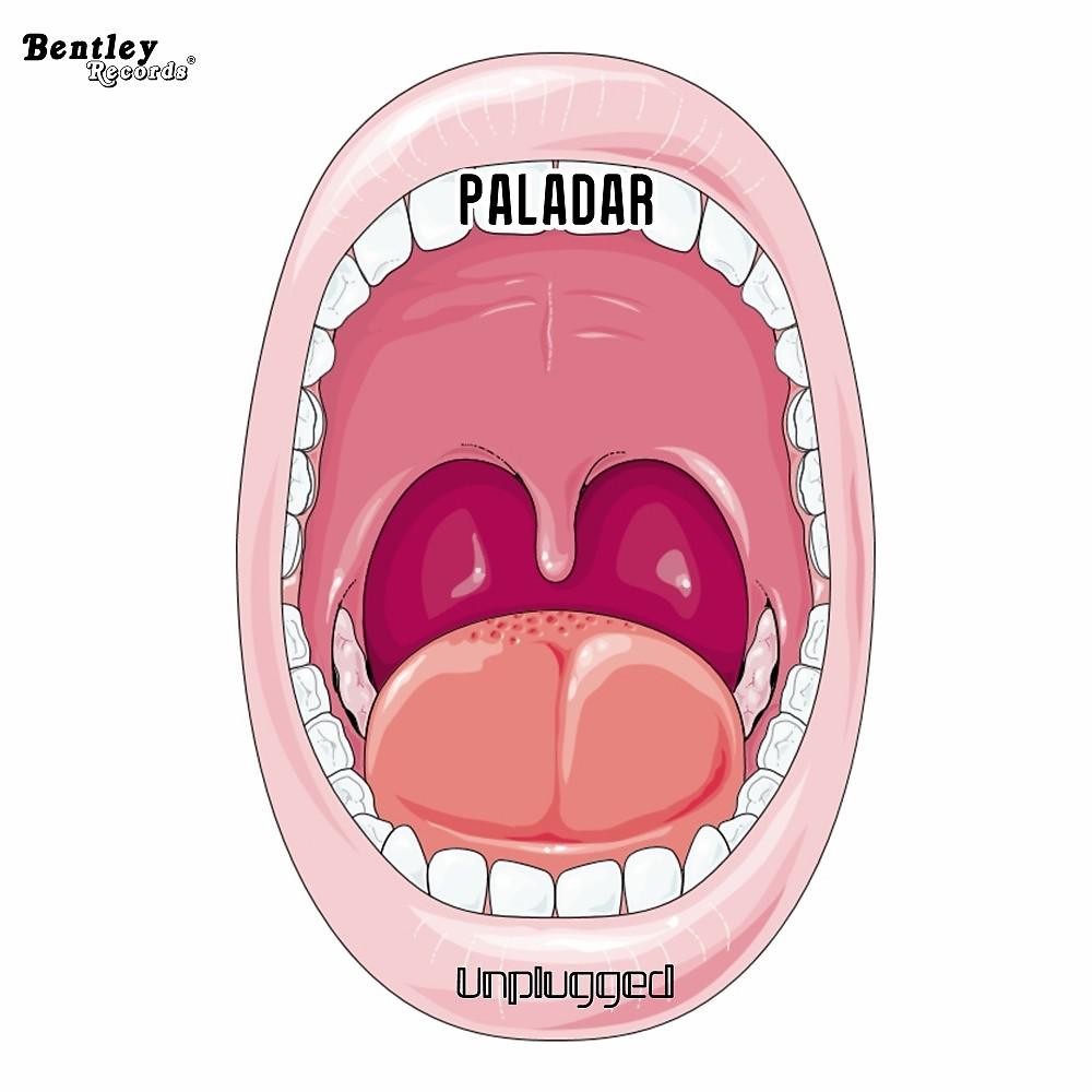 Постер альбома Paladar