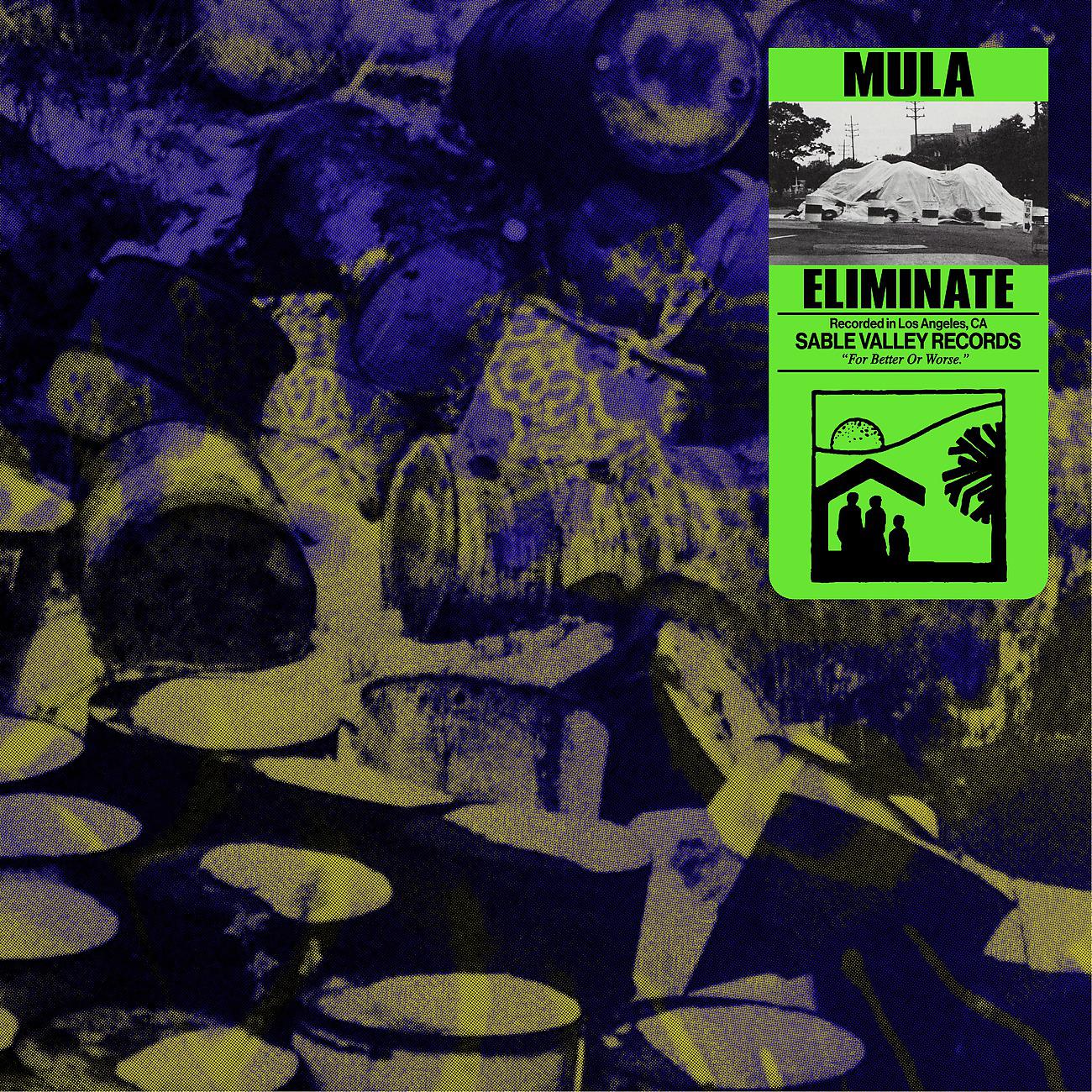 Постер альбома Mula
