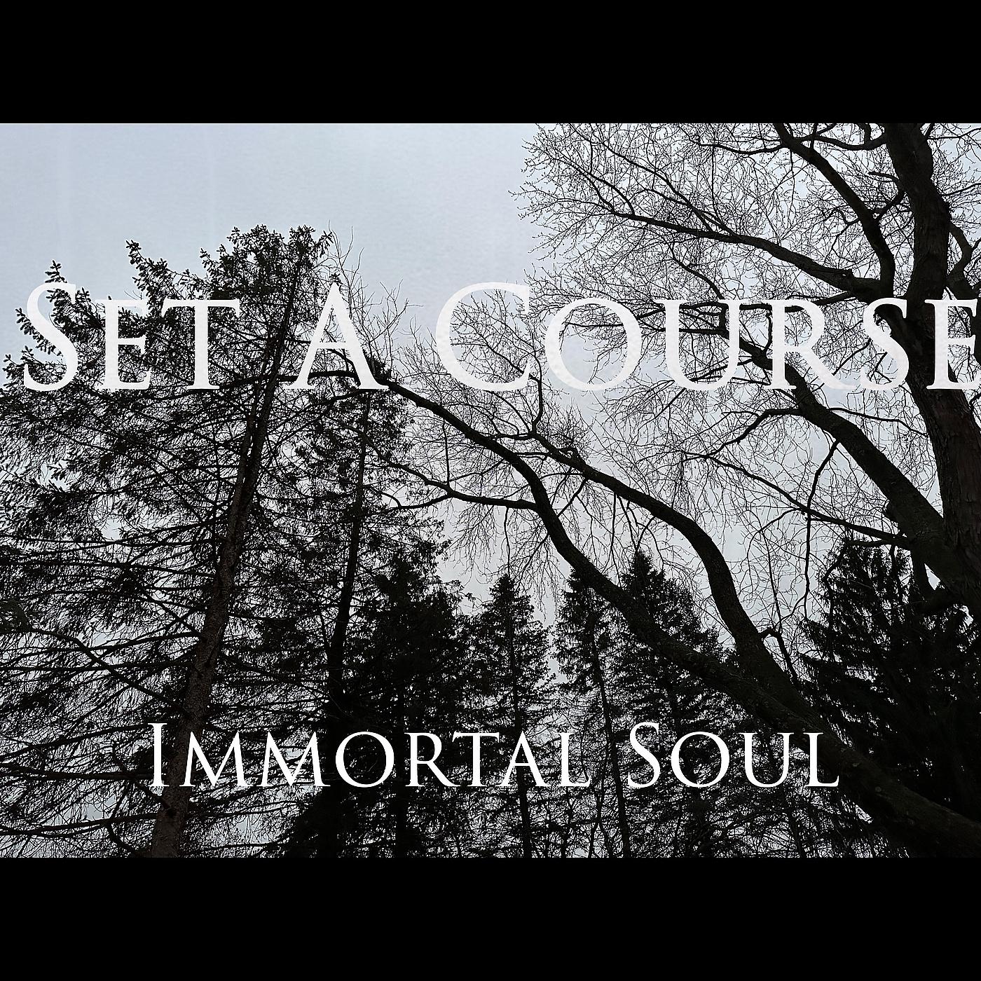 Постер альбома Immortal Soul