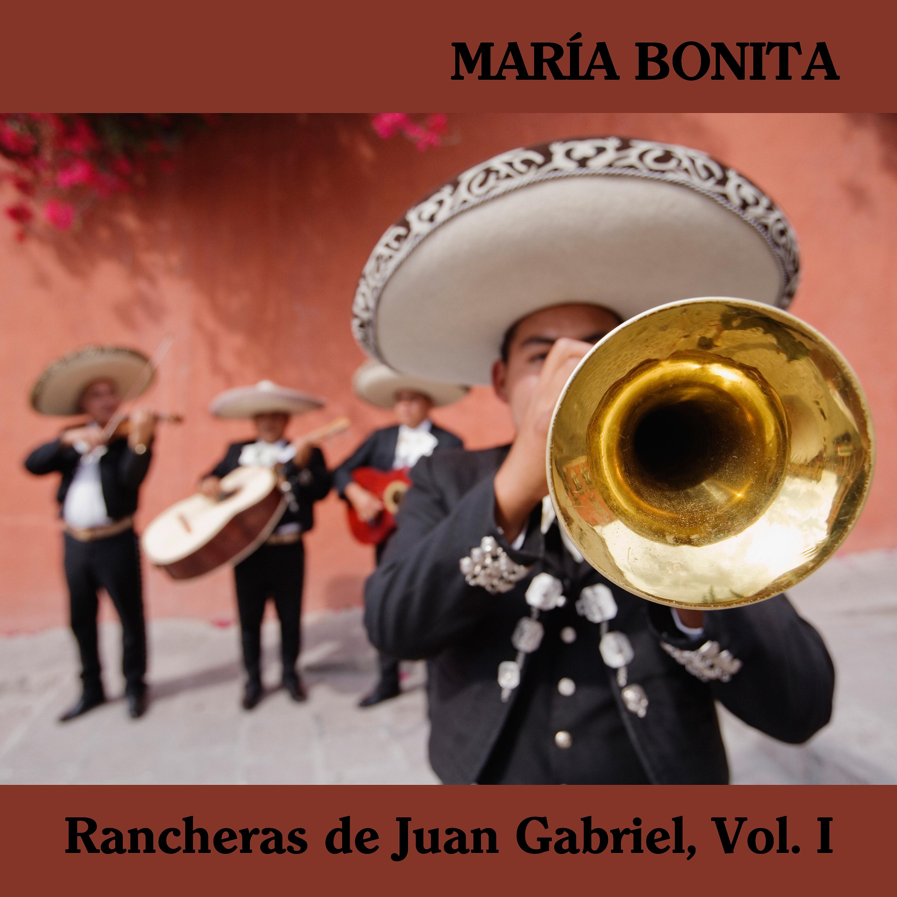 Постер альбома Rancheras de Juan Gabriel, Vol. I