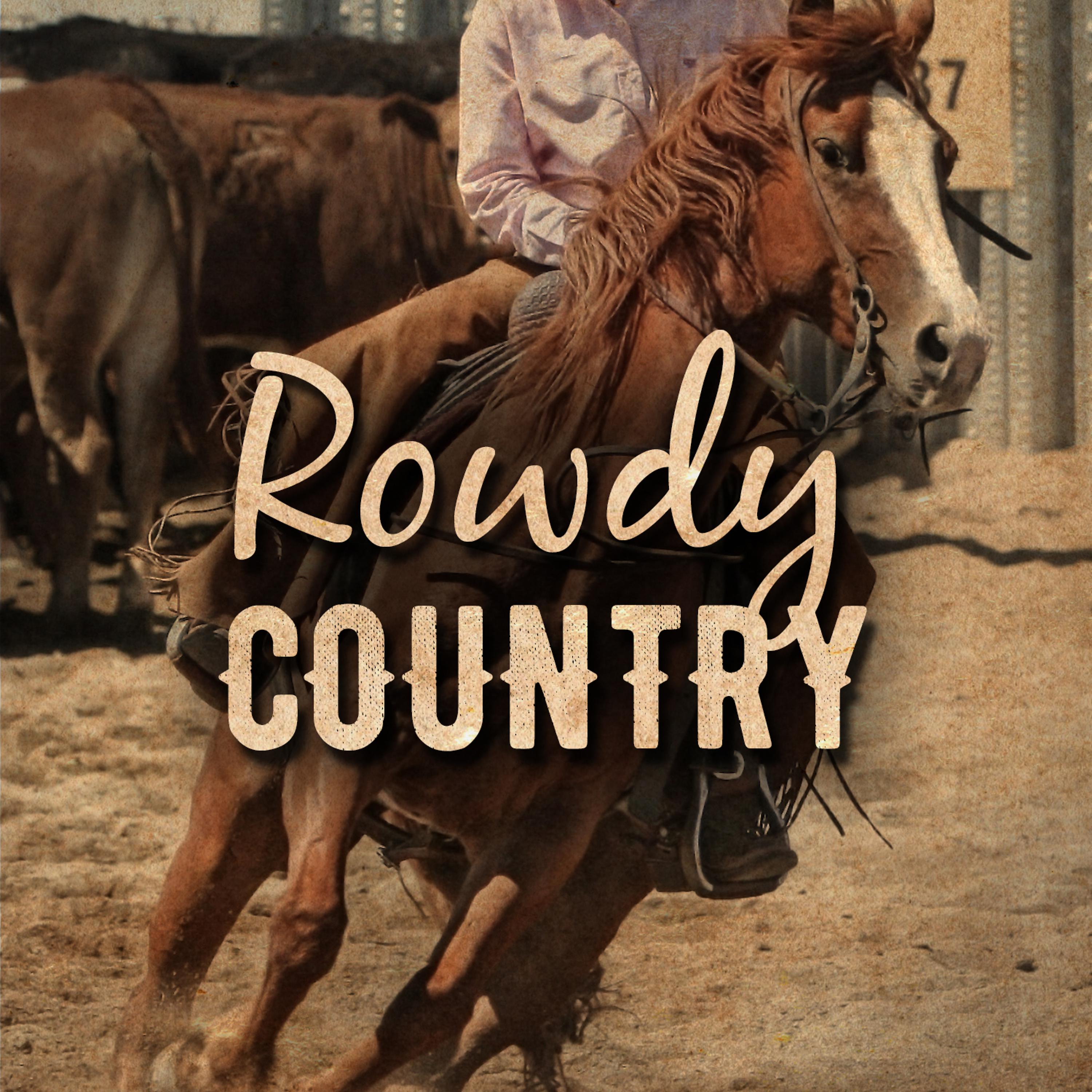 Постер альбома Rowdy Country