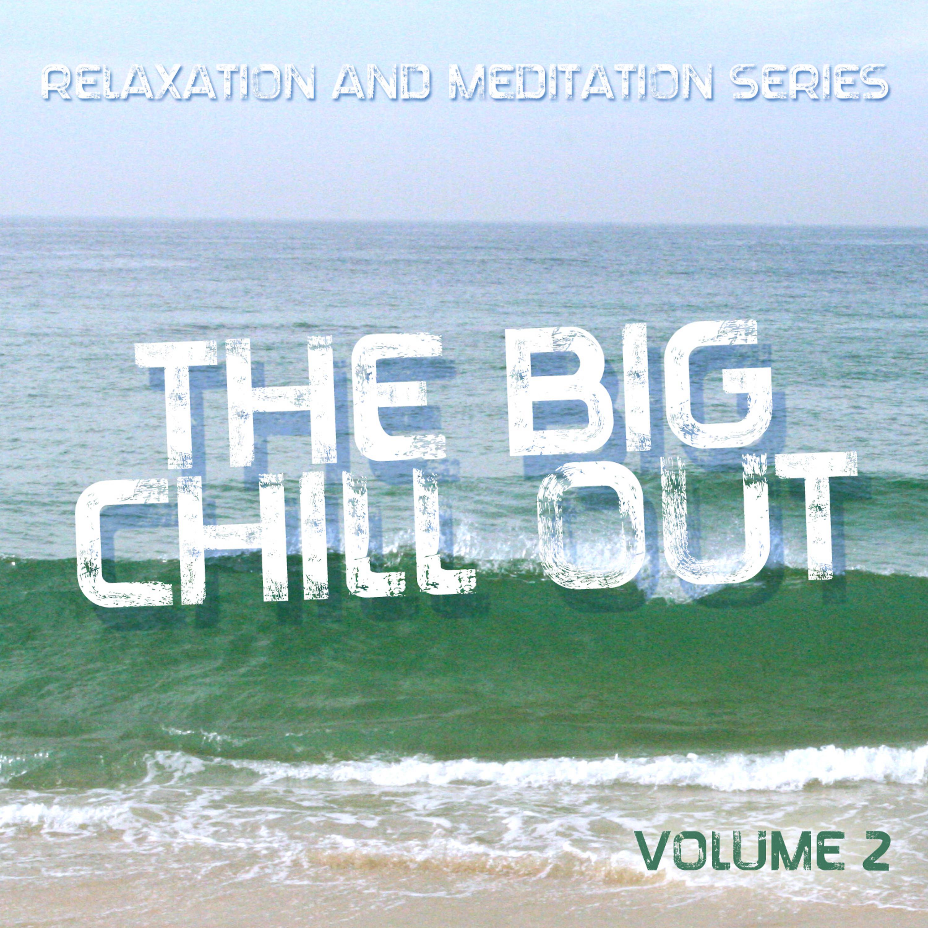 Постер альбома The Big Chill Out - Relaxation and Meditation Series, Vol. 2