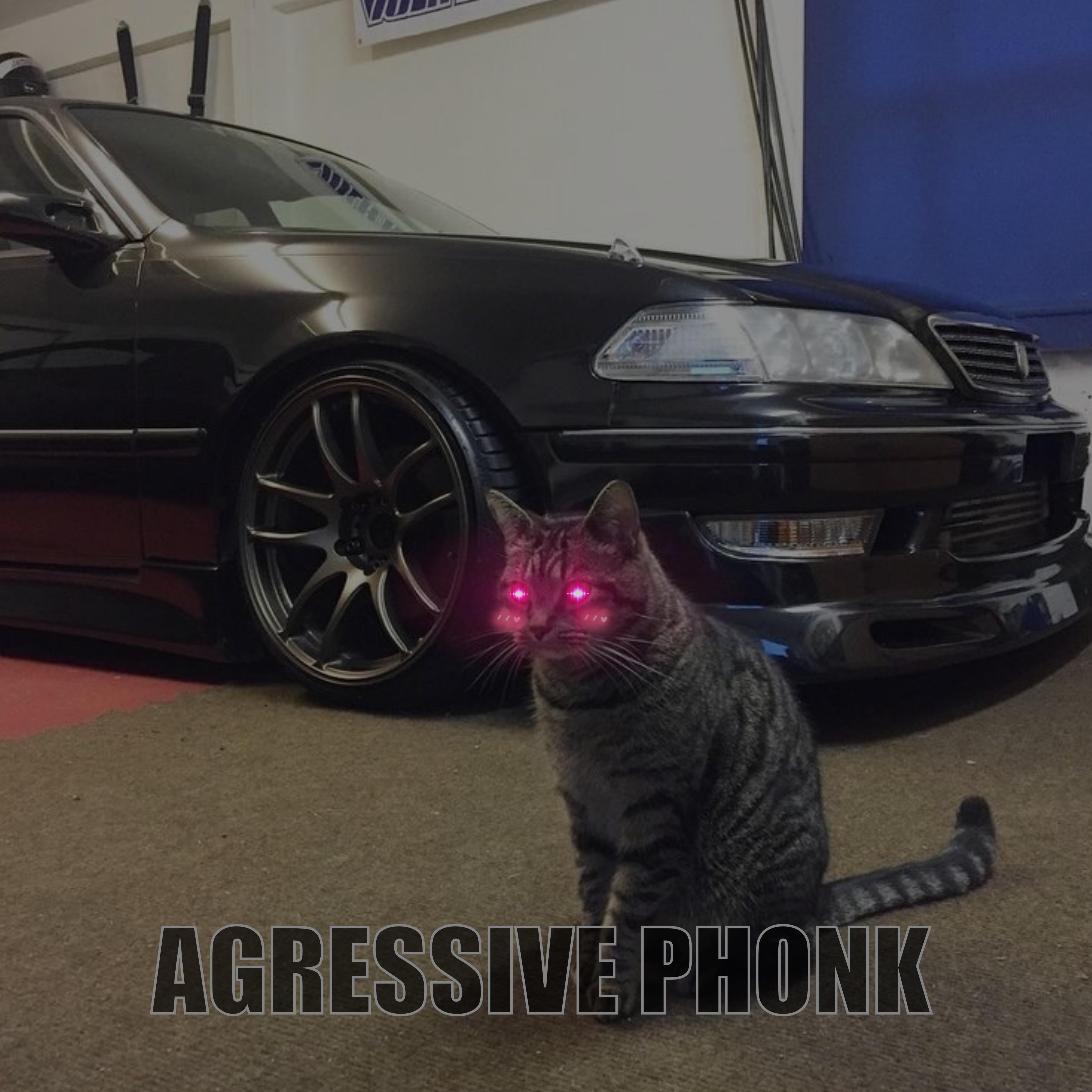 Постер альбома Agressive Phonk