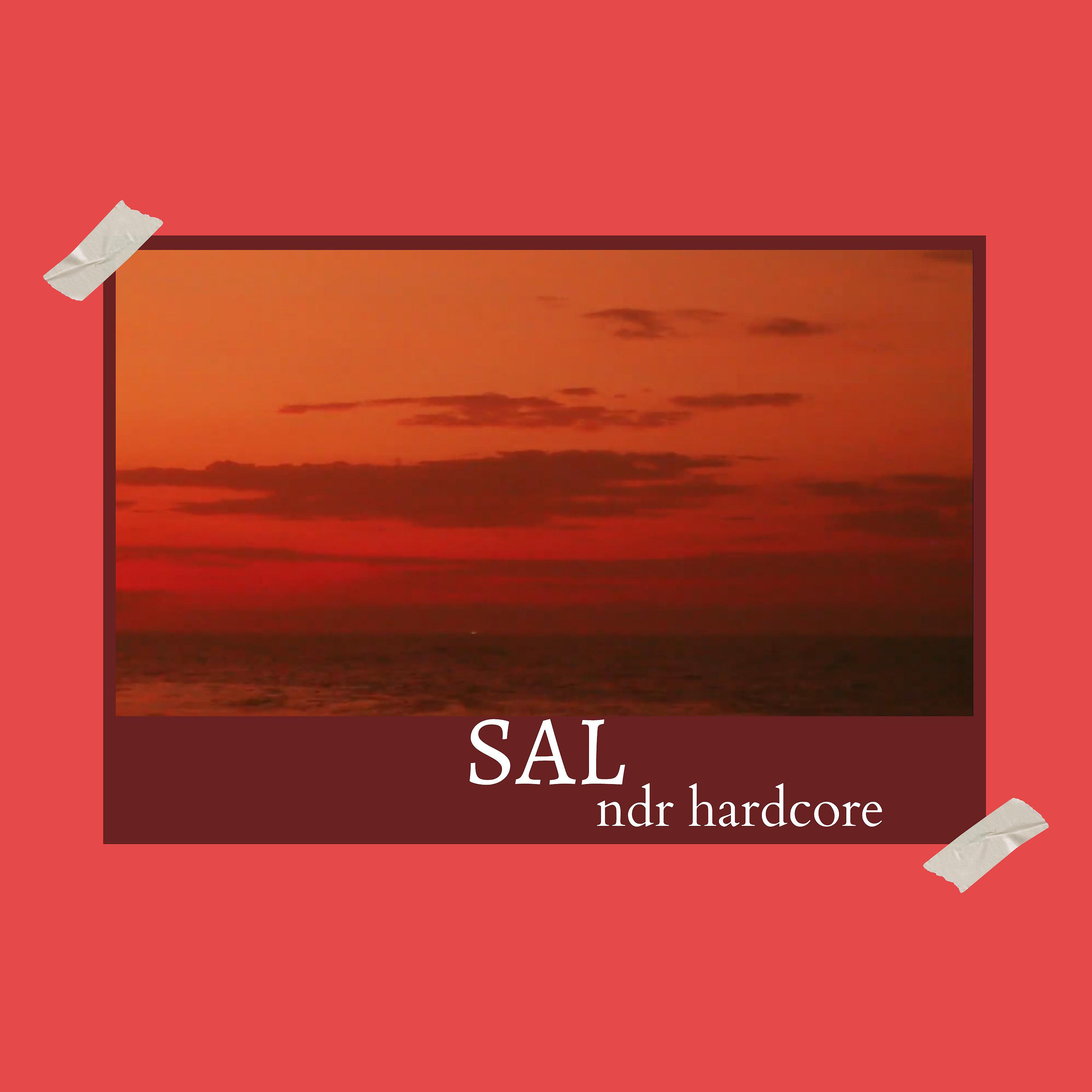 Постер альбома Sal