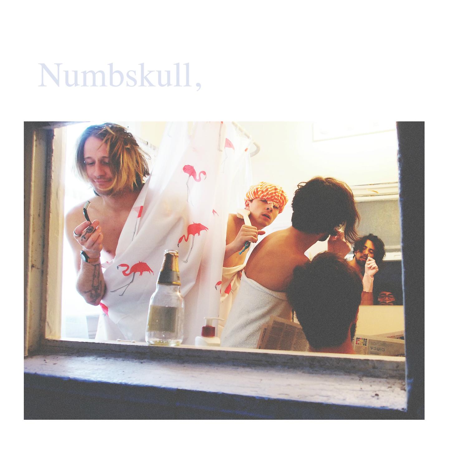 Постер альбома Numbskull