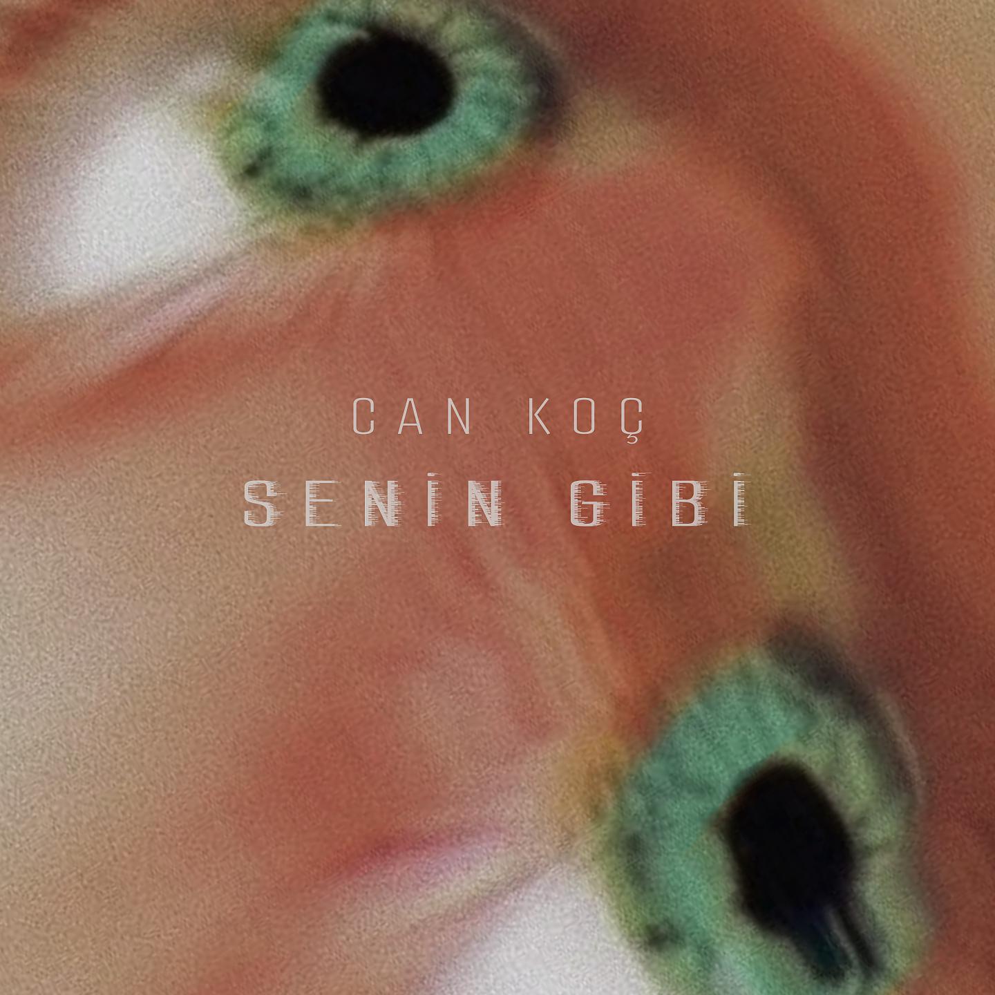 Постер альбома Senin Gibi