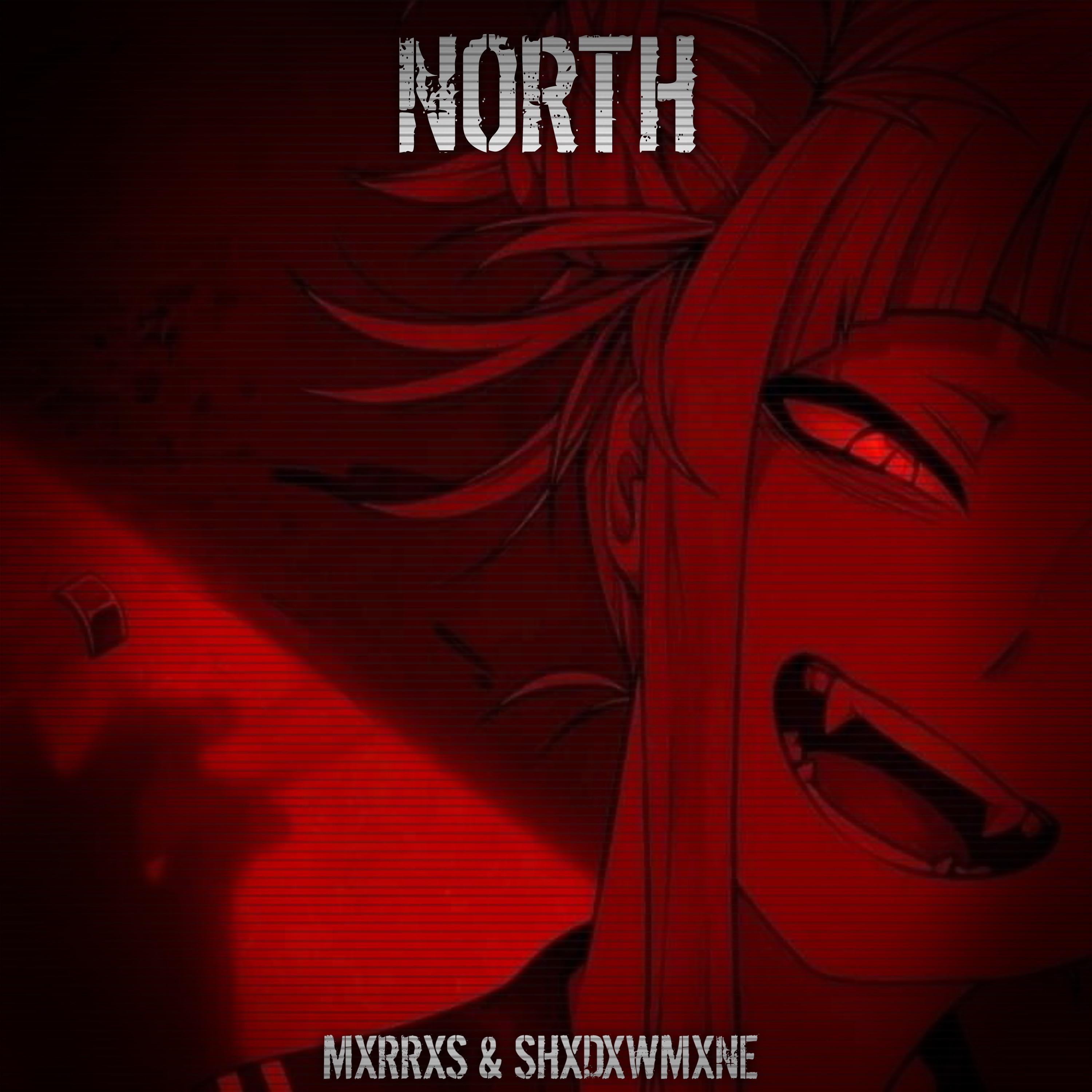 Постер альбома NORTH