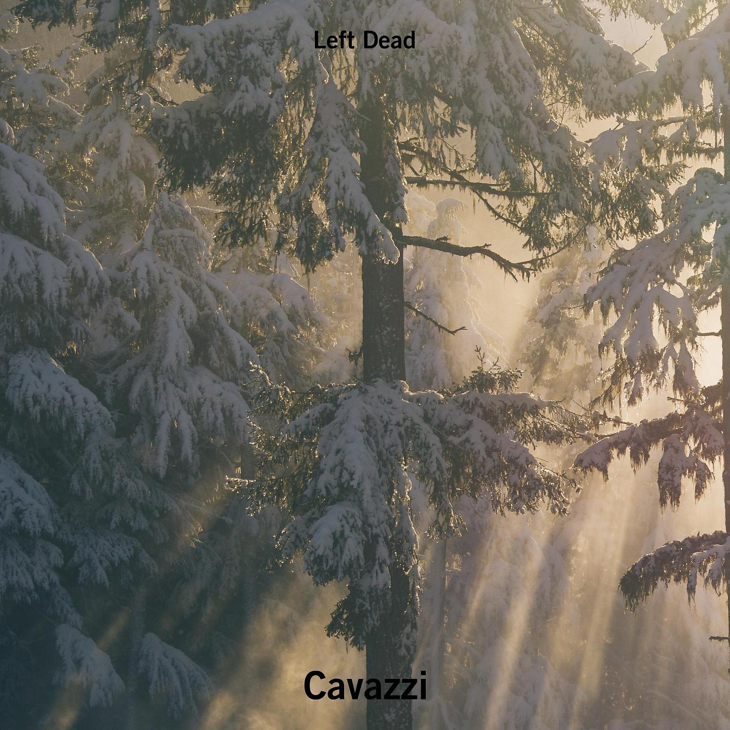 Постер альбома Cavazzi