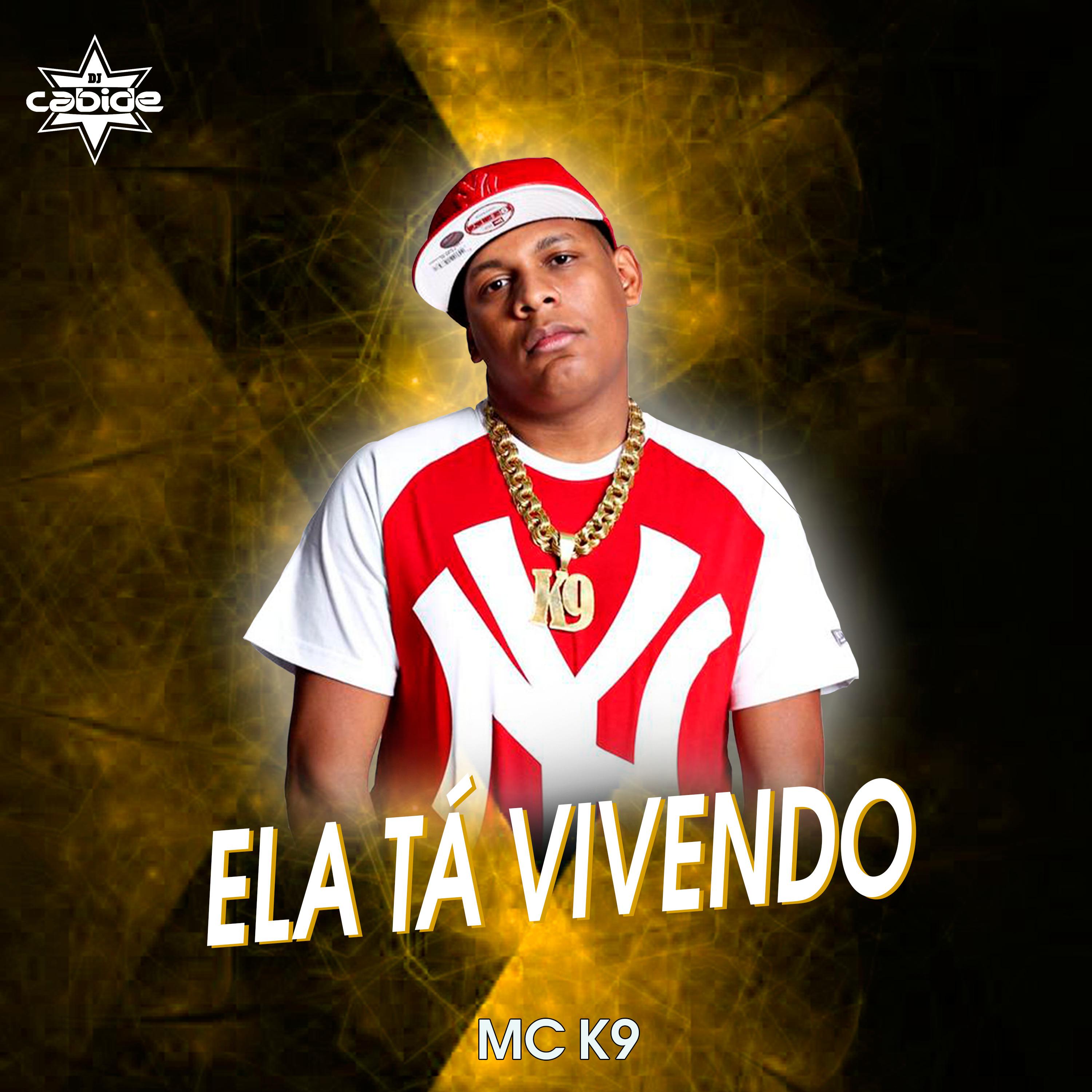 Постер альбома Ela Tá Vivendo