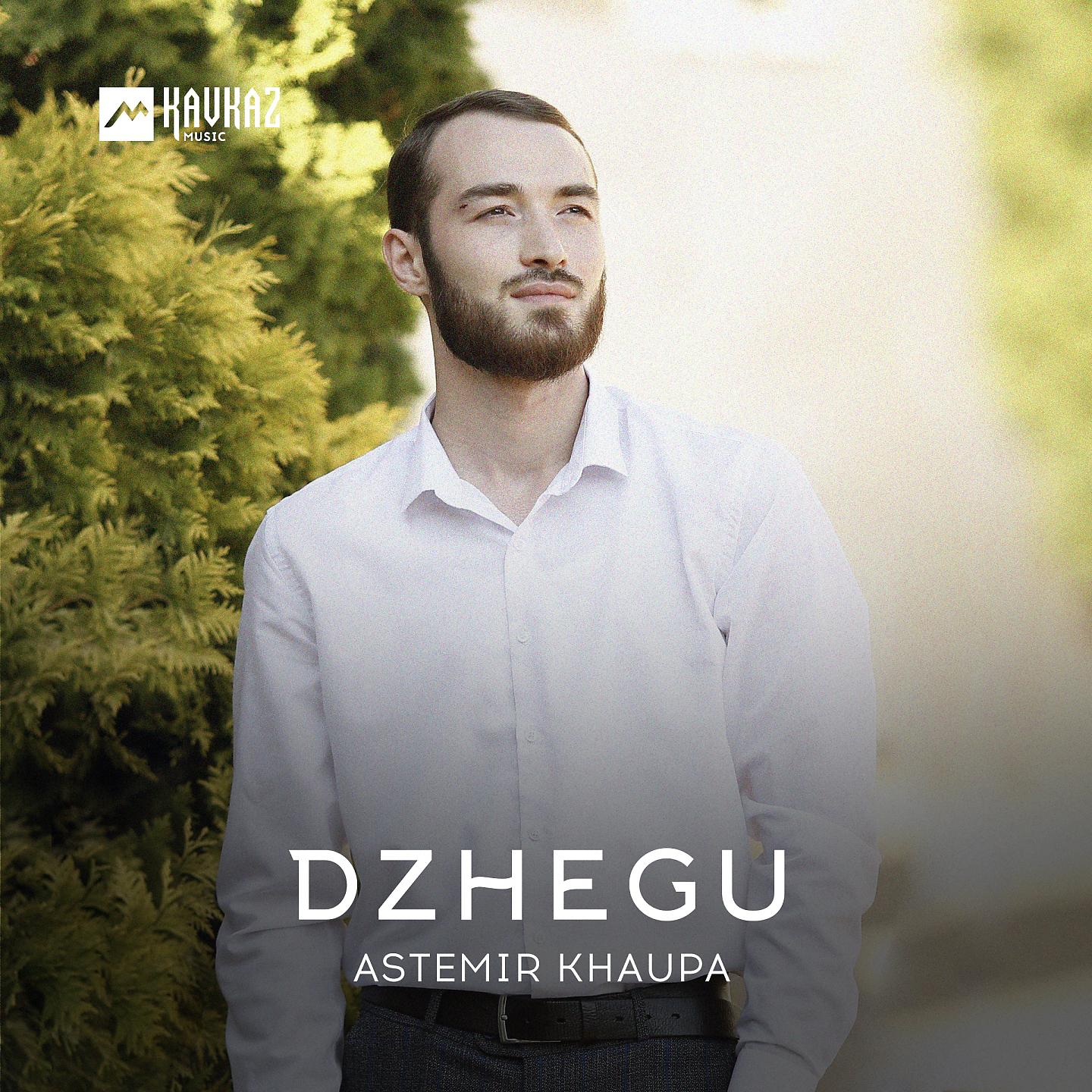 Постер альбома Dzhegu
