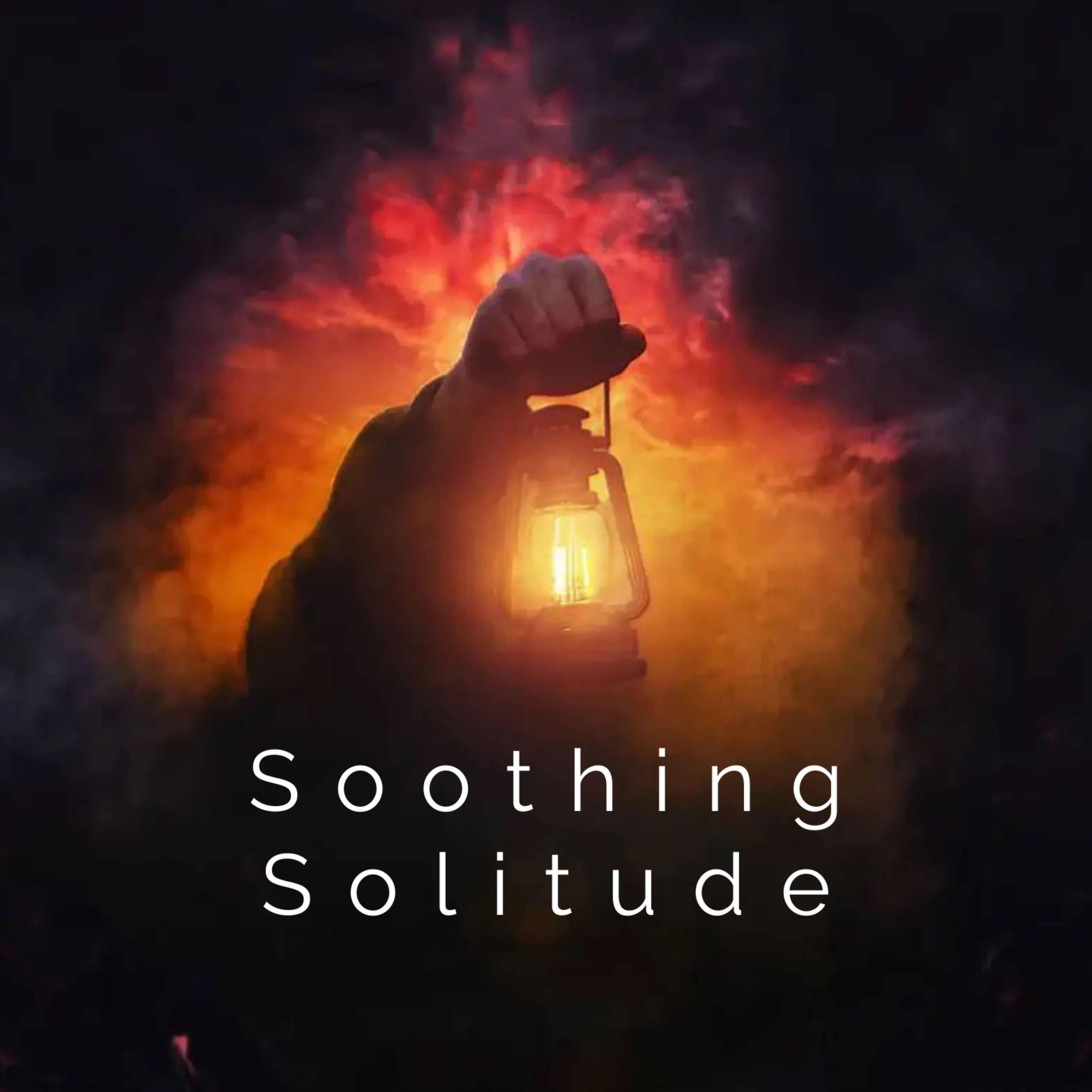 Постер альбома Soothing Solitude