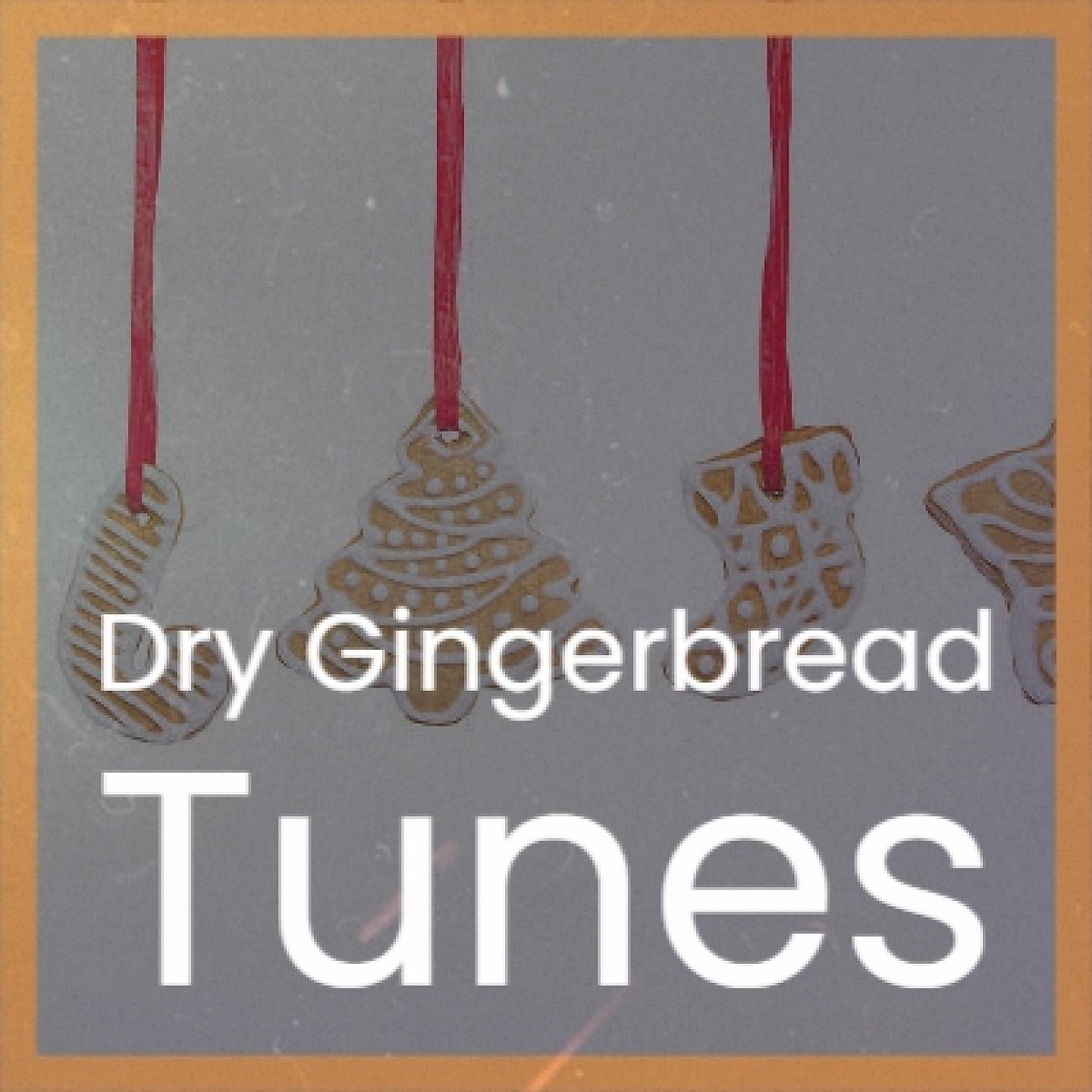 Постер альбома Dry Gingerbread Tunes