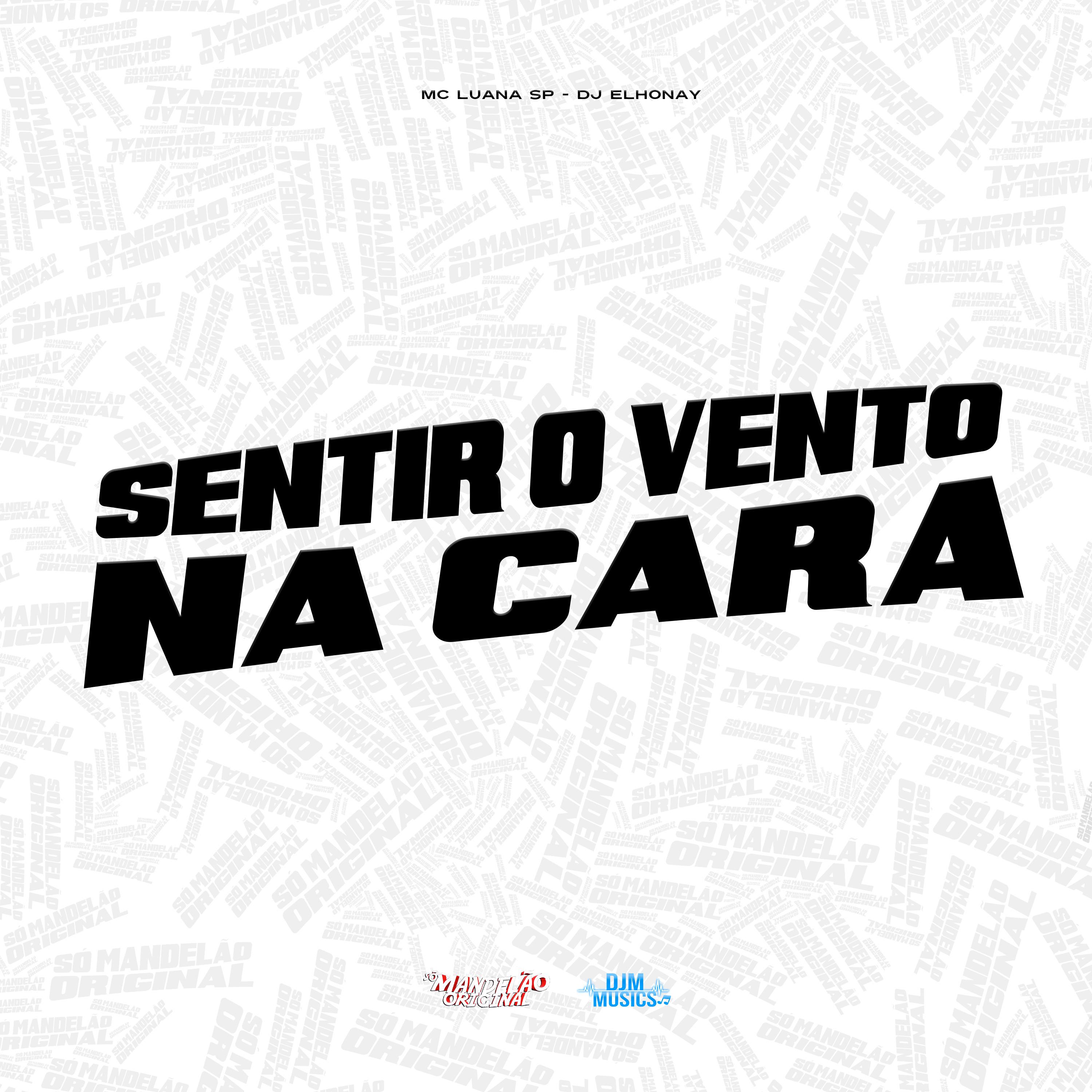 Постер альбома Sentir o Vento na Cara