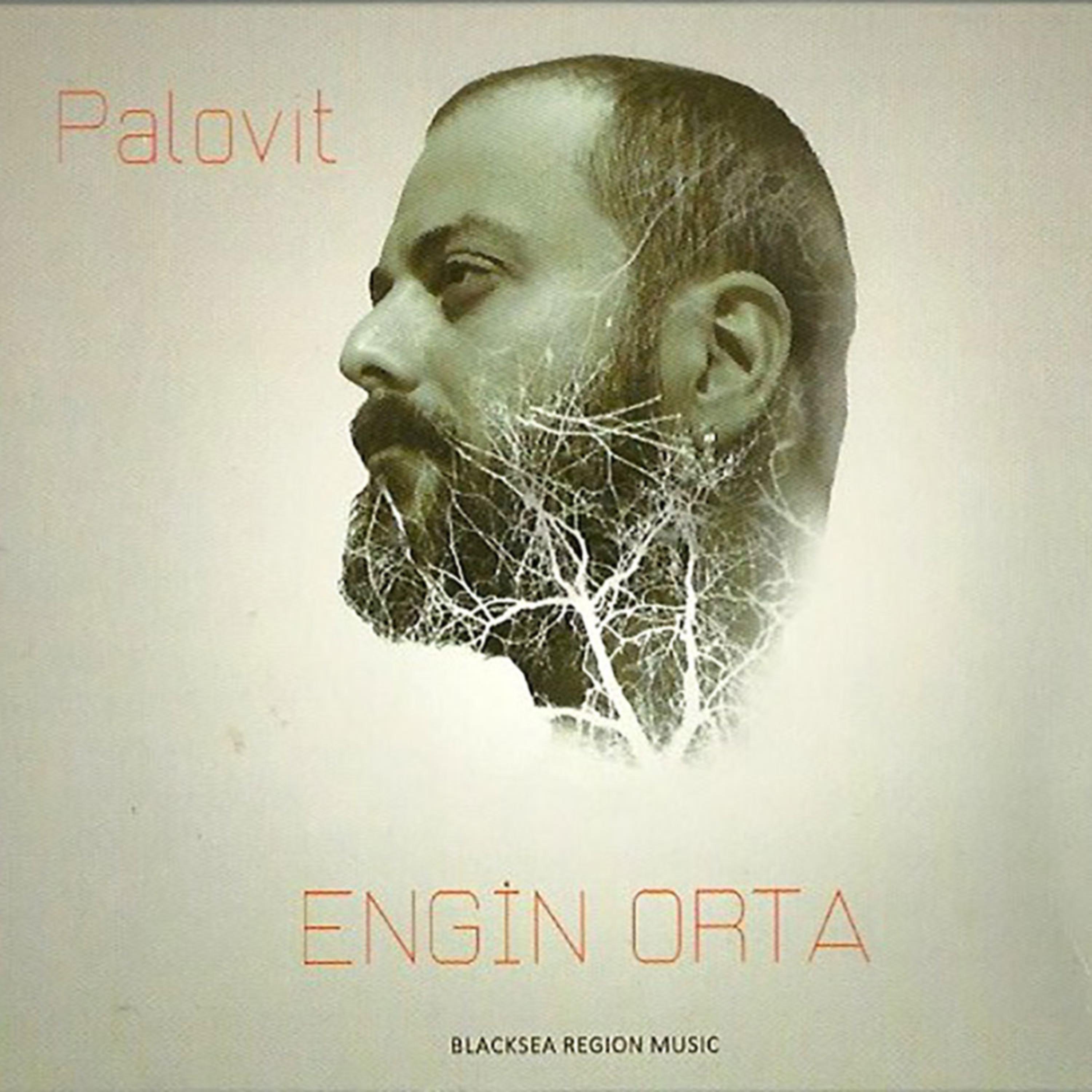 Постер альбома Palovit