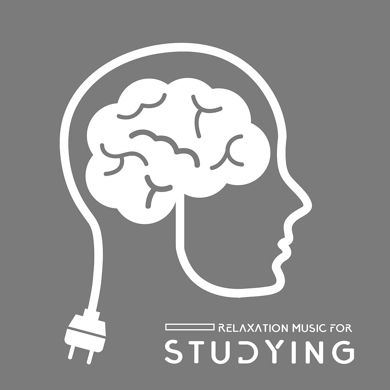 Постер альбома Relaxation Music for Studying