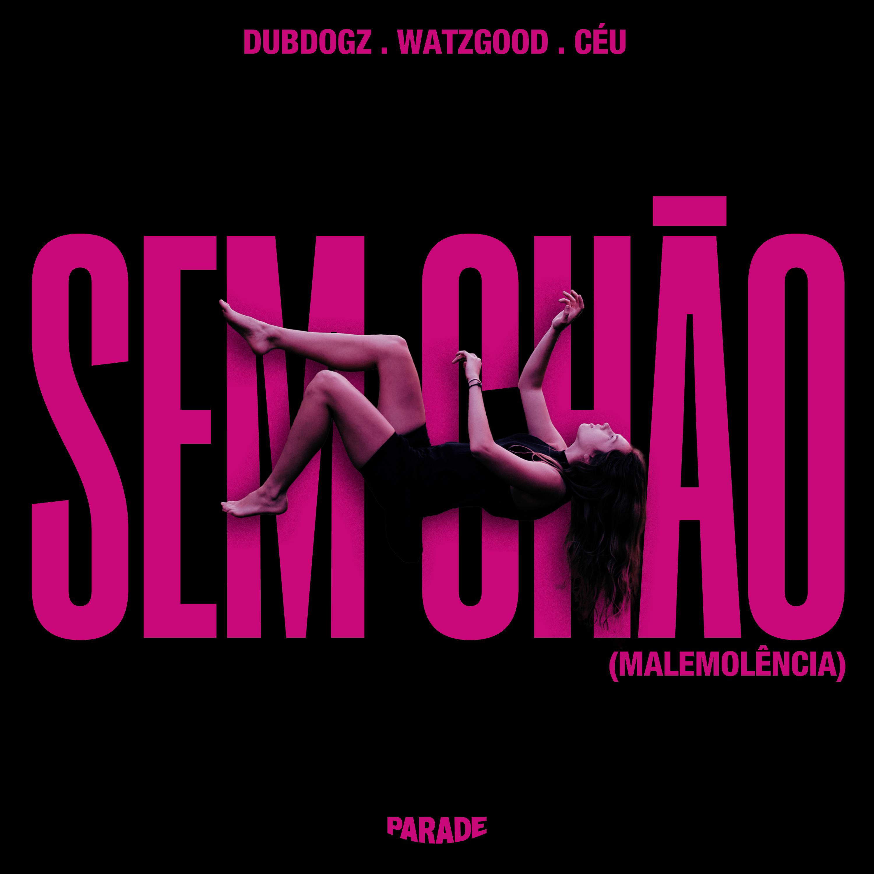 Постер альбома Sem Chão (Malemolência)