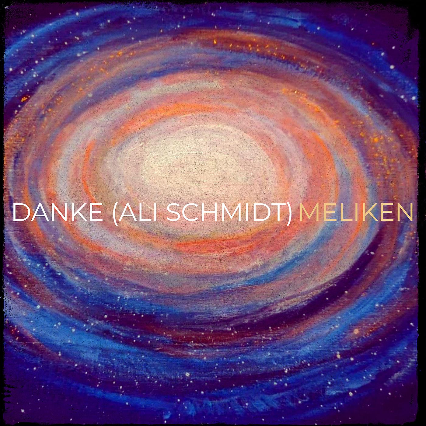 Постер альбома Danke (Ali Schmidt)