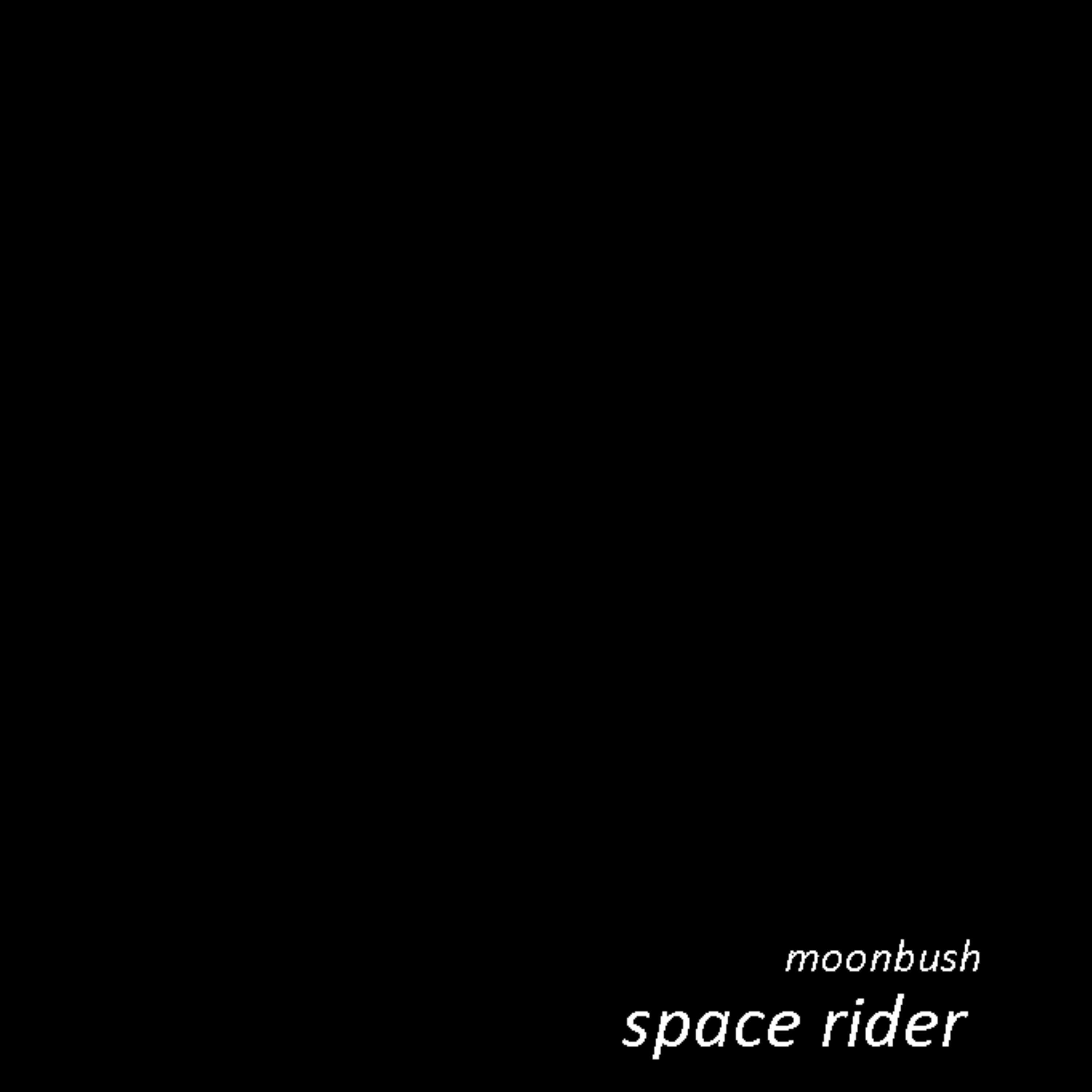 Постер альбома space rider