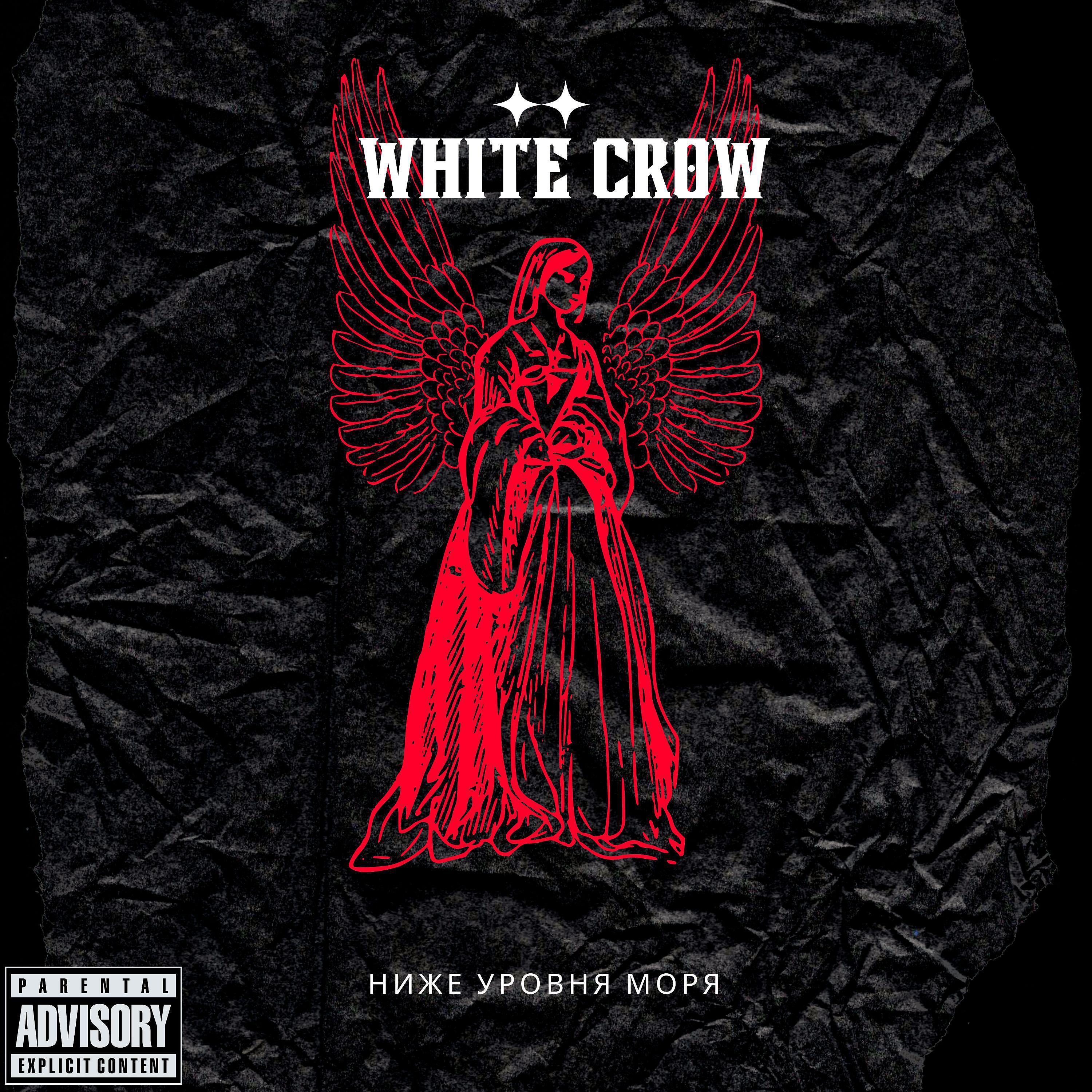 Постер альбома WHITE CROW