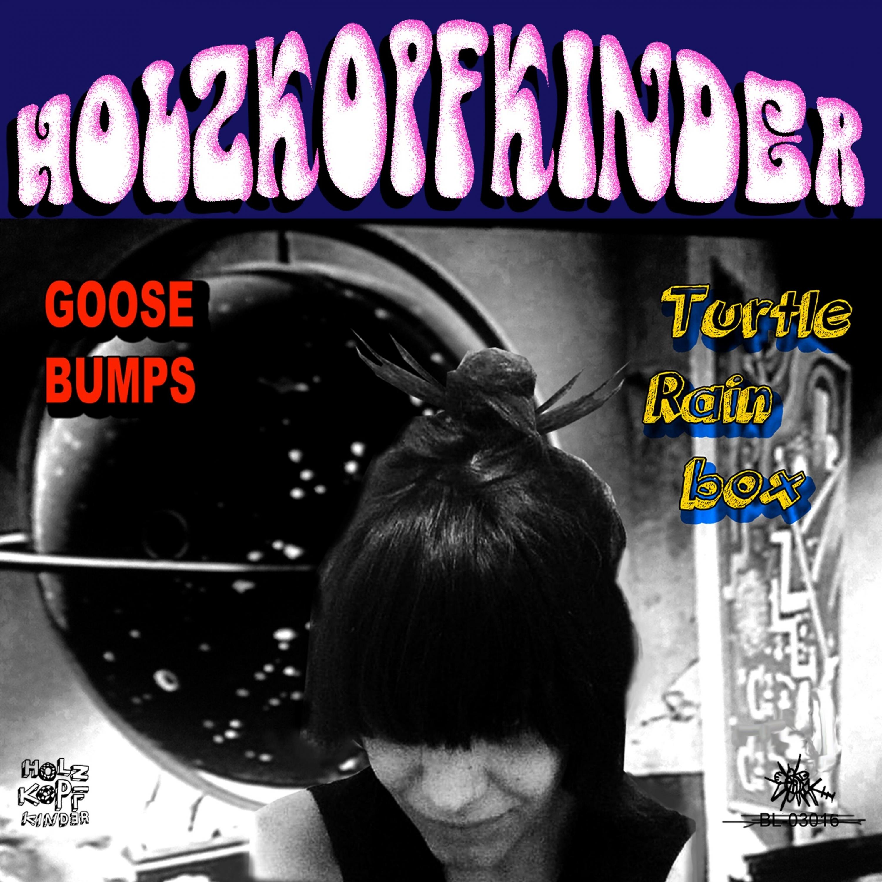 Постер альбома Goose Bumps Turtle Rainbox