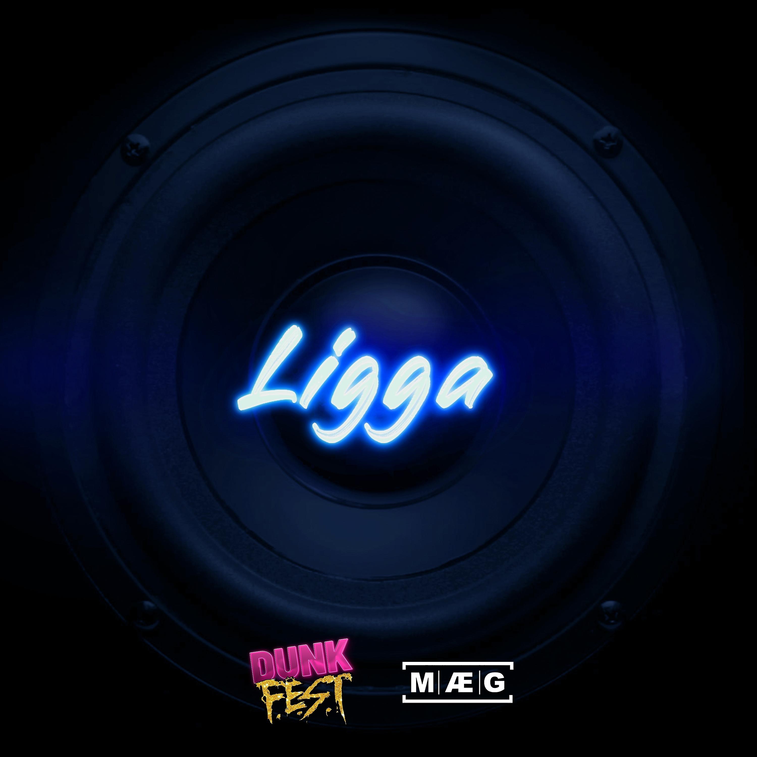 Постер альбома Ligga