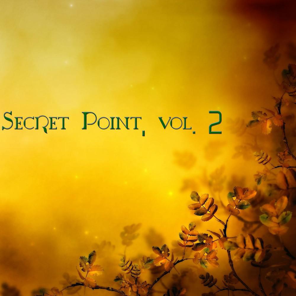 Постер альбома Secret Point, Vol. 2 (Chill Dream)