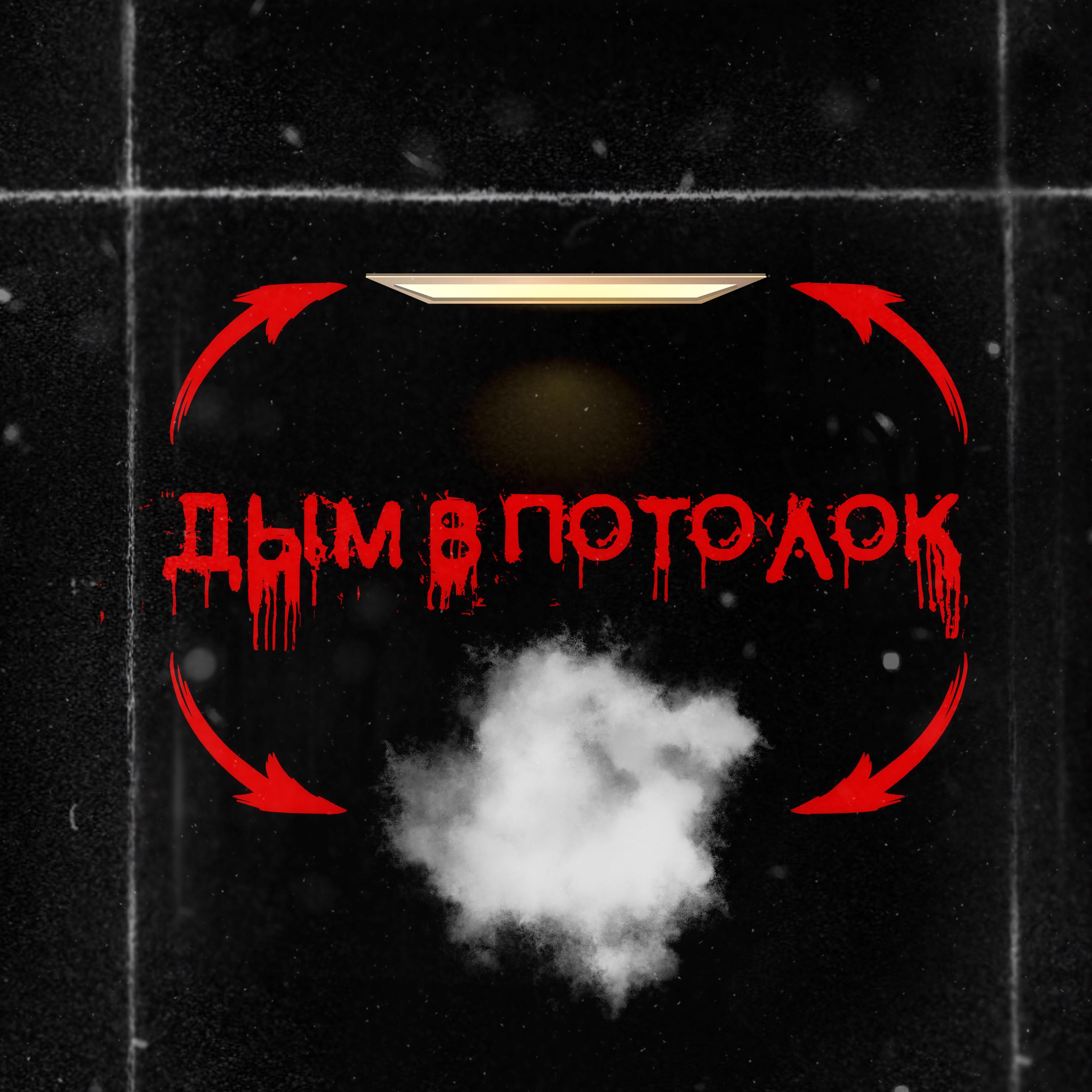Постер альбома Дым в потолок (Dimusik Remix)