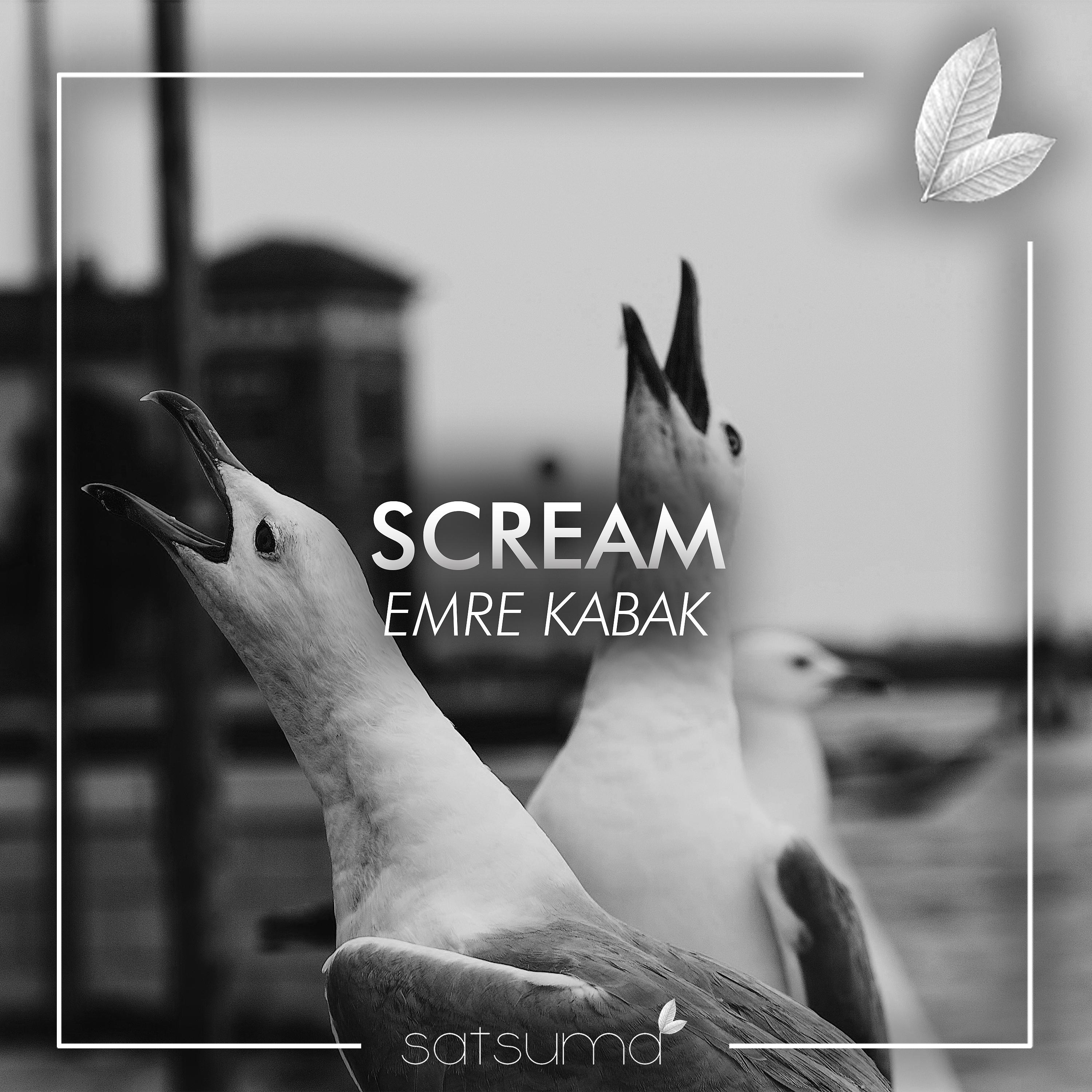 Постер альбома Scream