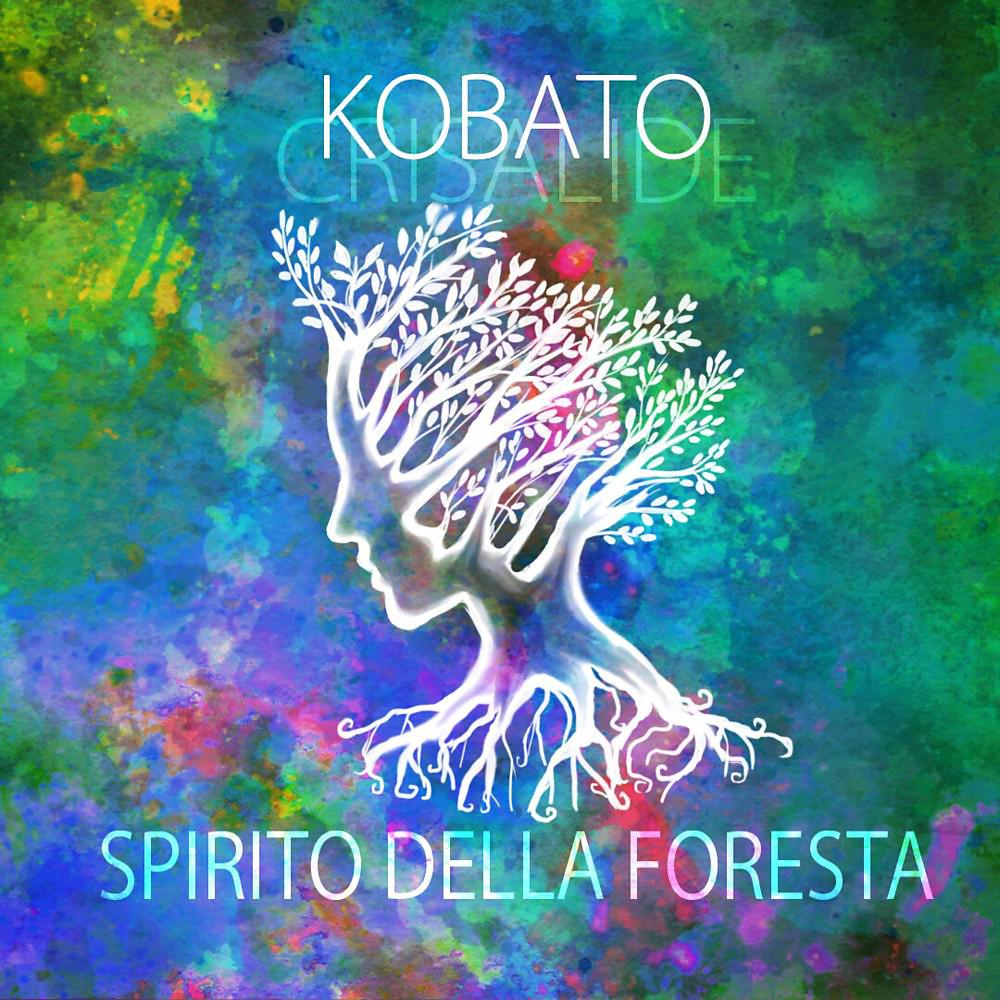 Постер альбома Spirito della foresta